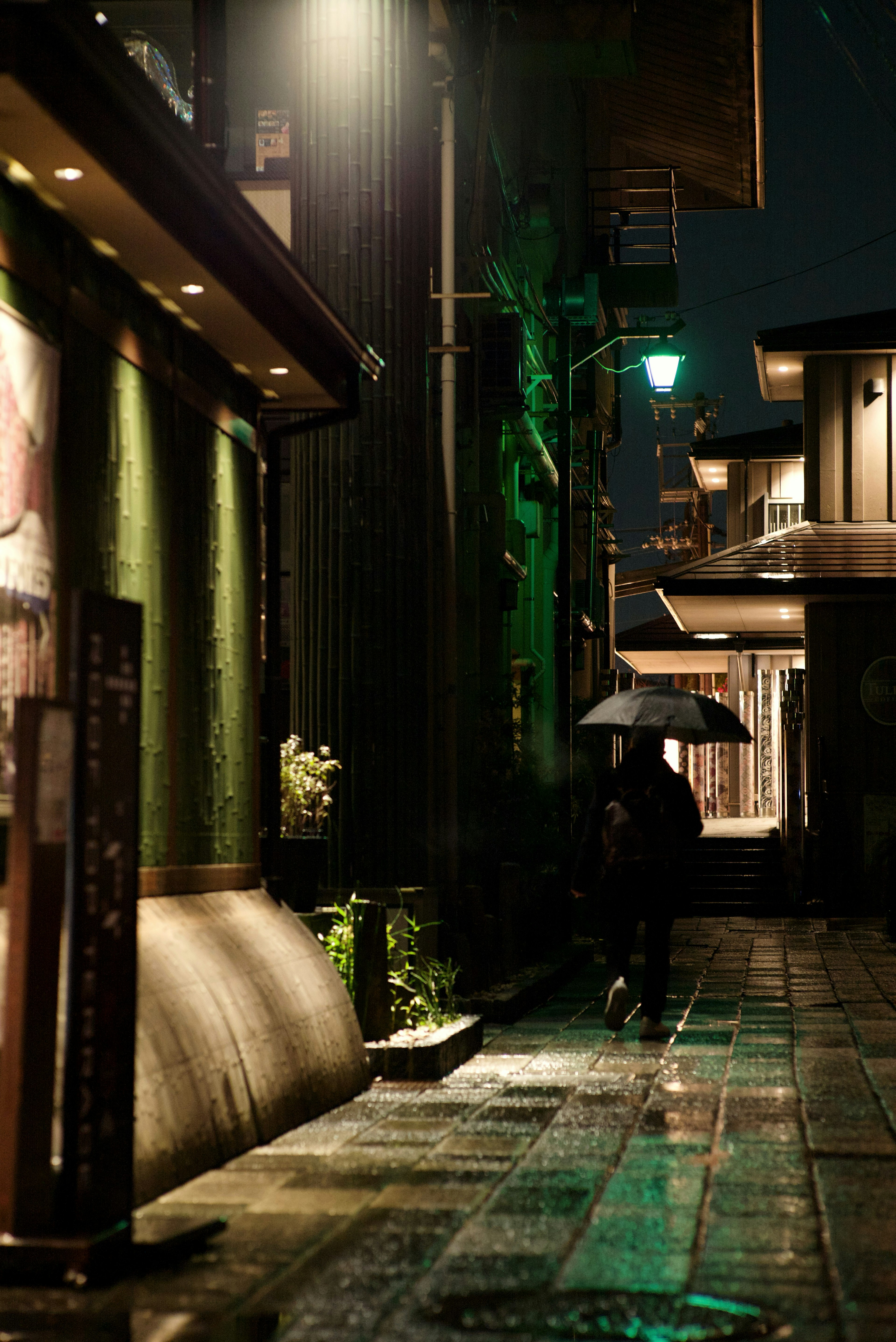 Une ruelle tranquille de nuit avec une personne sous un parapluie et des lumières vertes distinctives