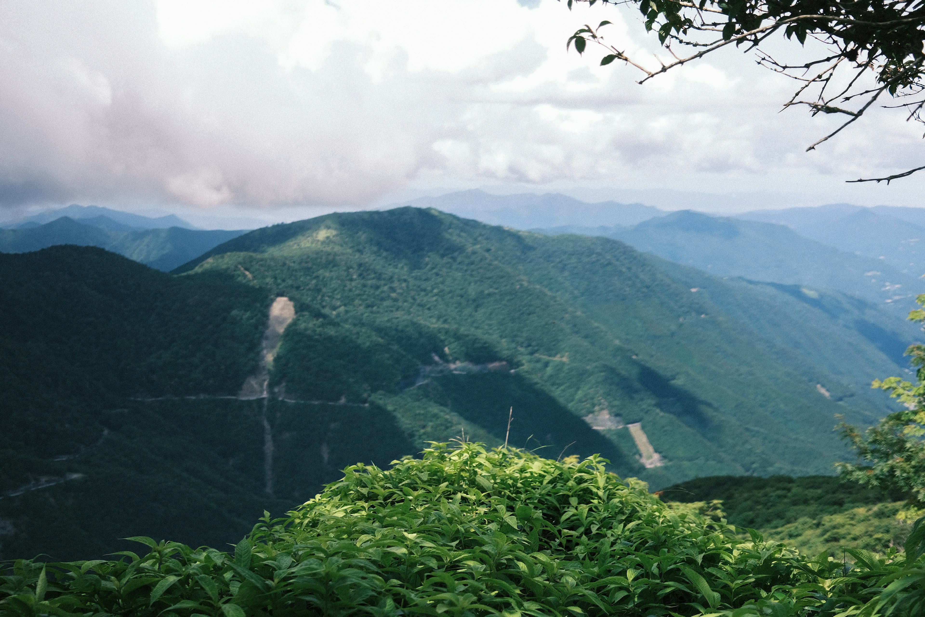 Gunung hijau subur di bawah langit mendung