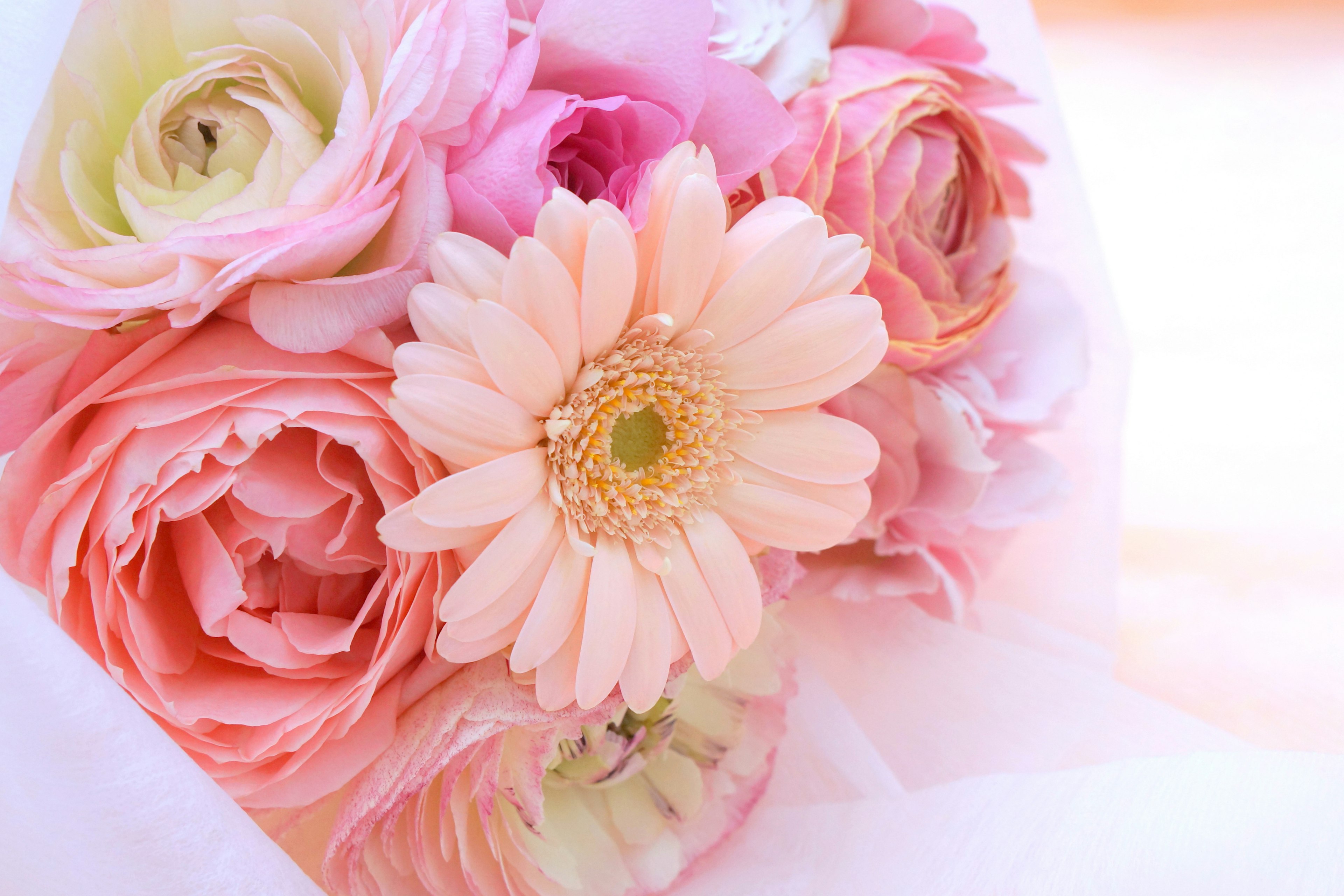 Bouquet of pink and cream flowers including roses and gerbera daisies