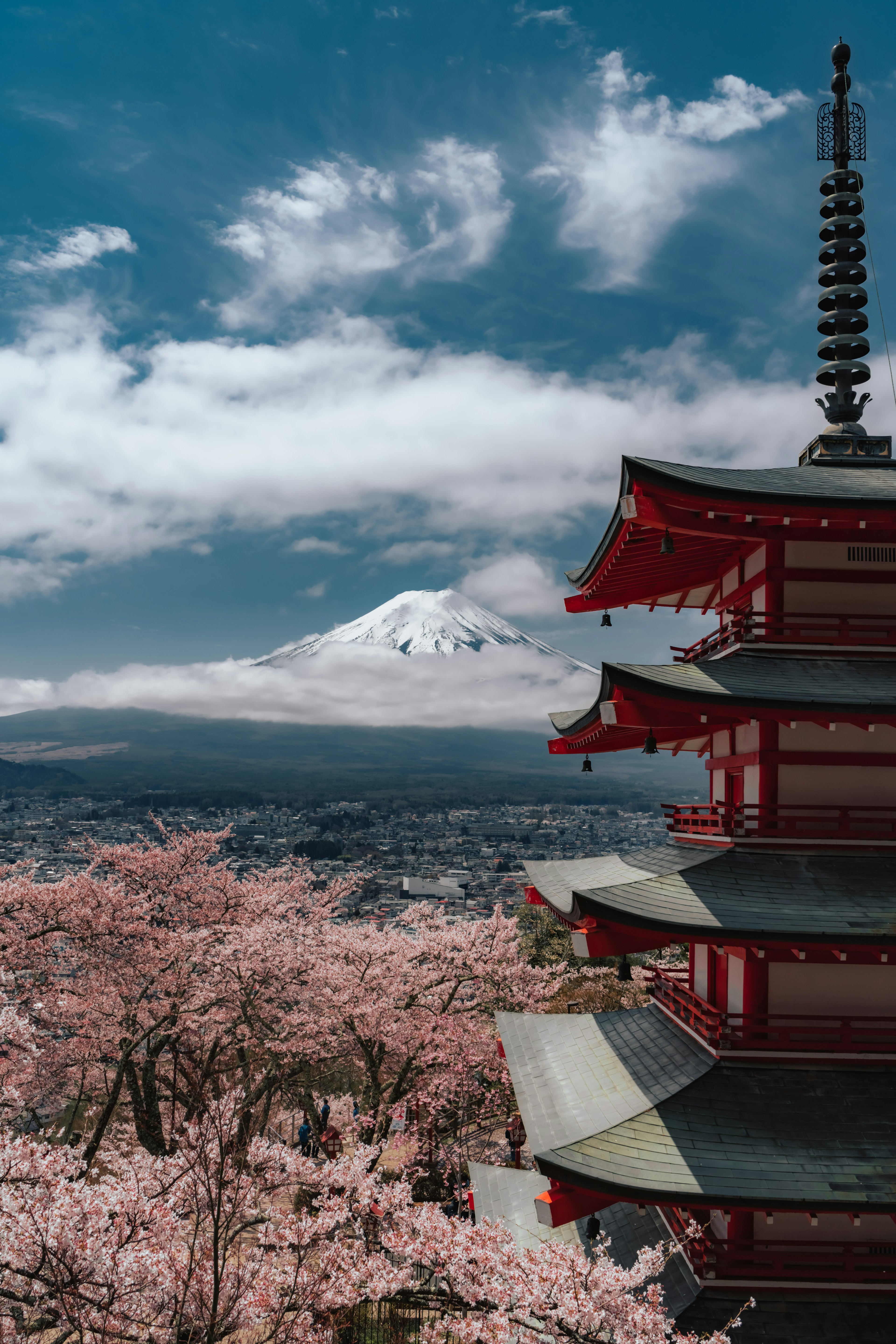 富士山を背景にした桜の花と赤い五重塔の風景