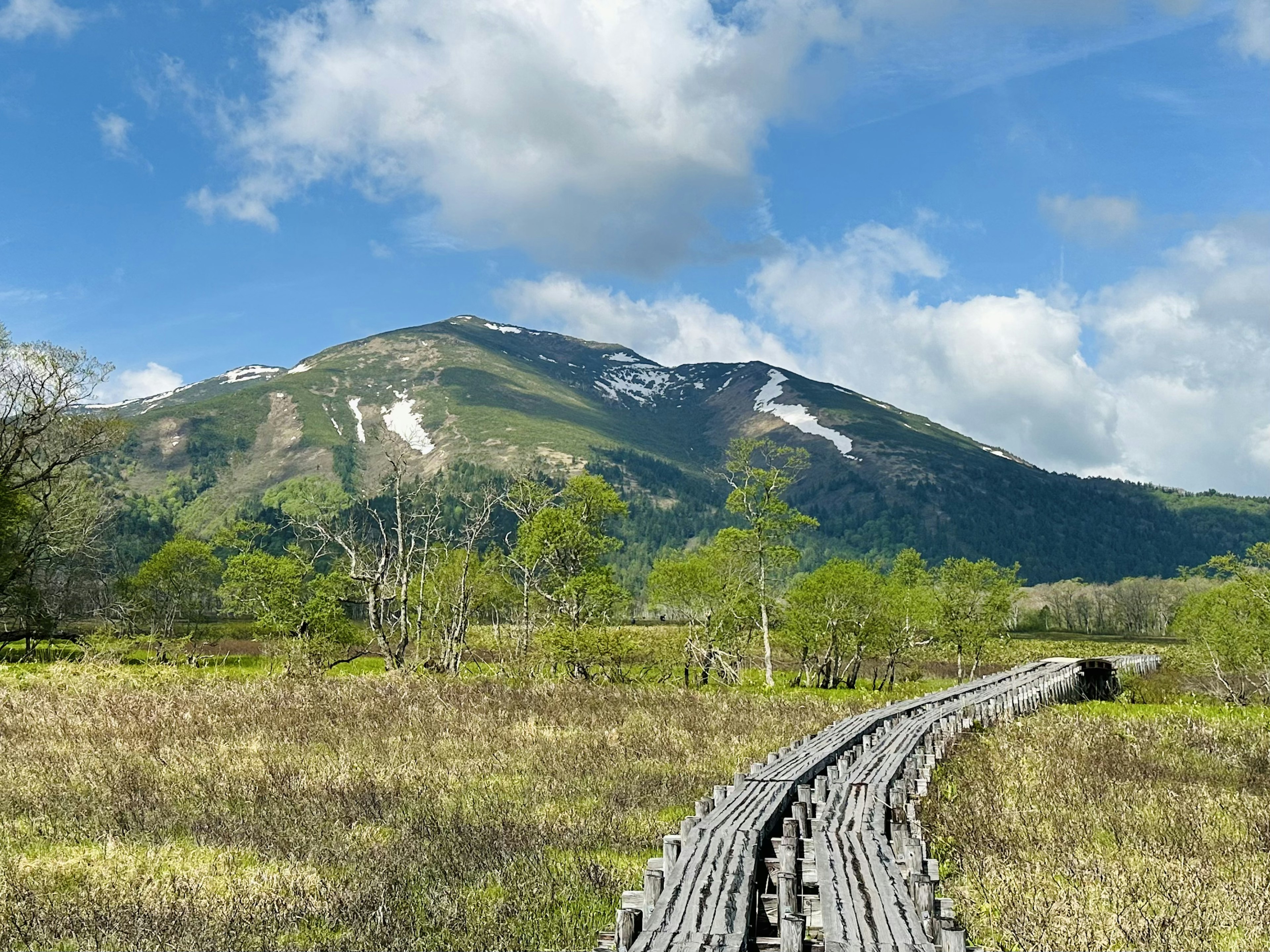 Sentiero di legno che si snoda tra campi verdi con montagne sullo sfondo