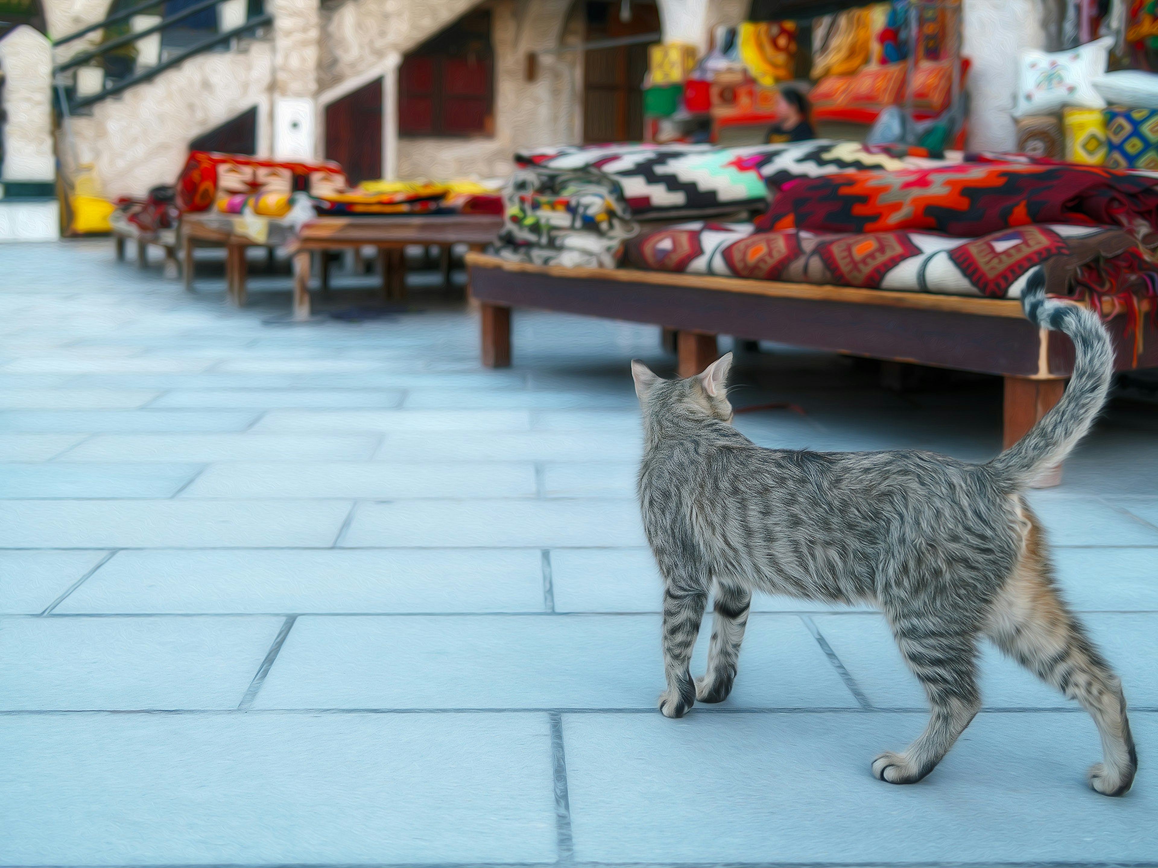 Un chat marchant près de couvertures colorées dans un cadre vibrant