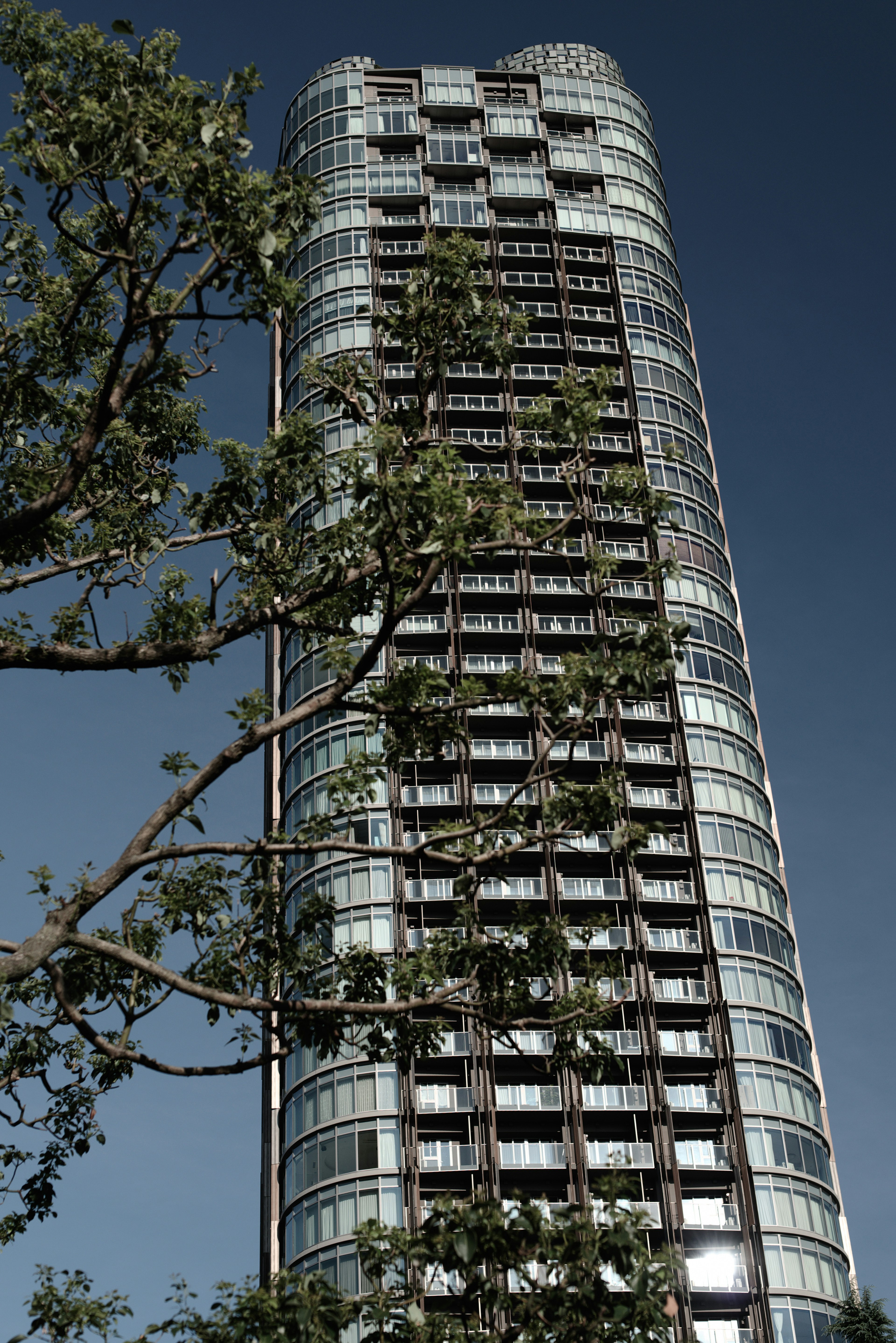 Tall building with glass facade against a blue sky and tree branches