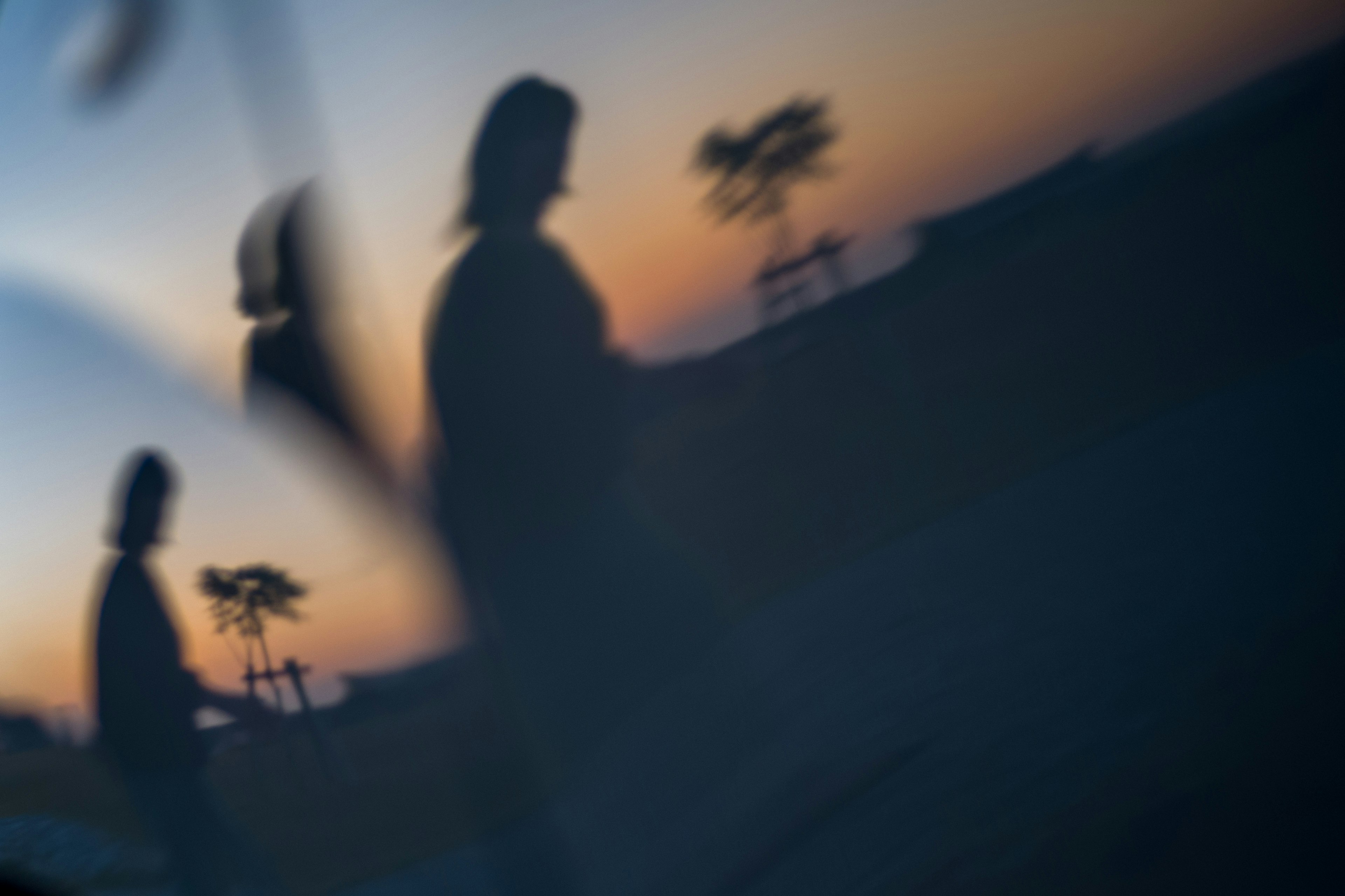 Silhouettes of people against a sunset background with tree shadows