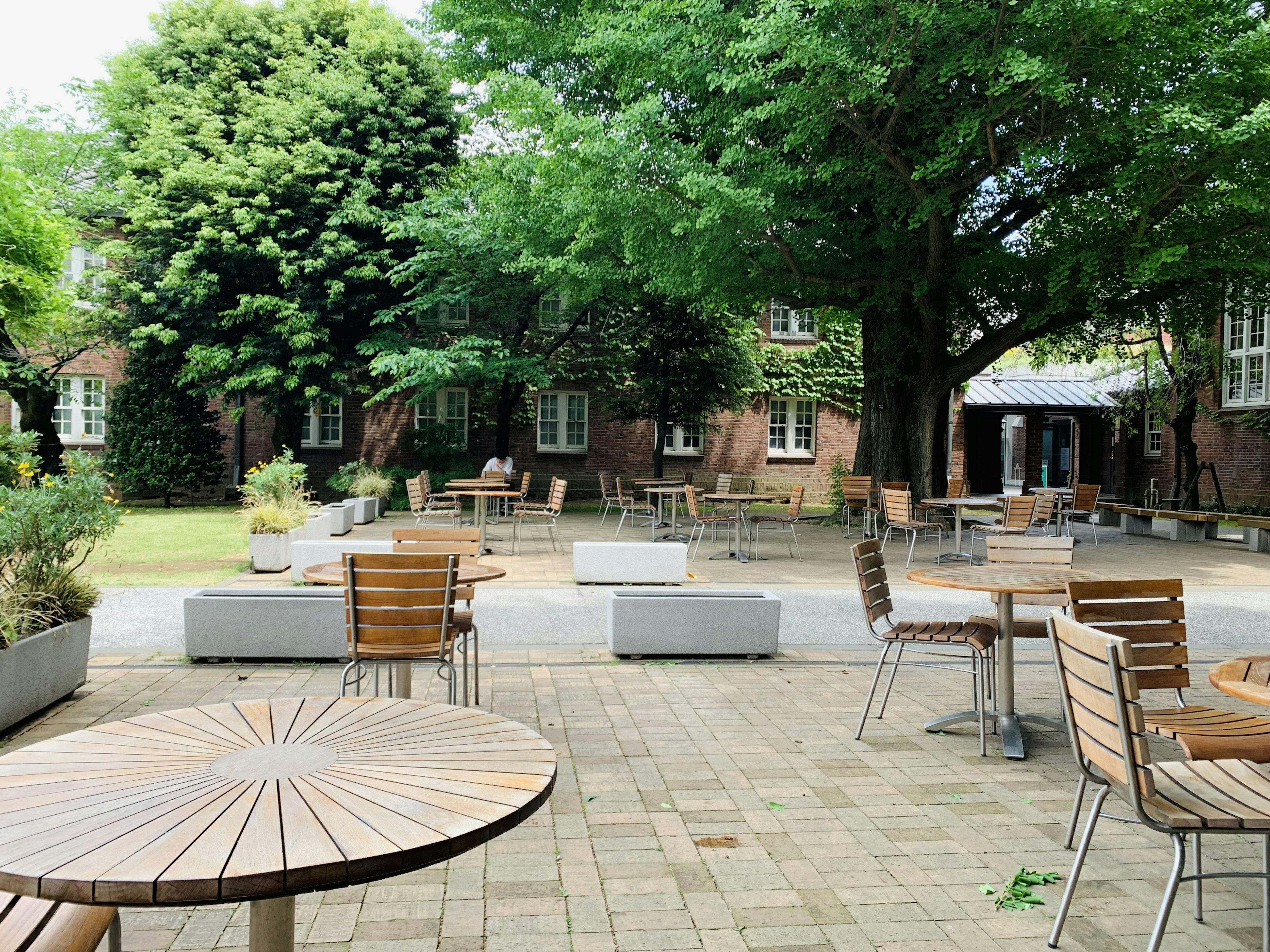 Espacio de café al aire libre con mesas y sillas de madera rodeadas de vegetación