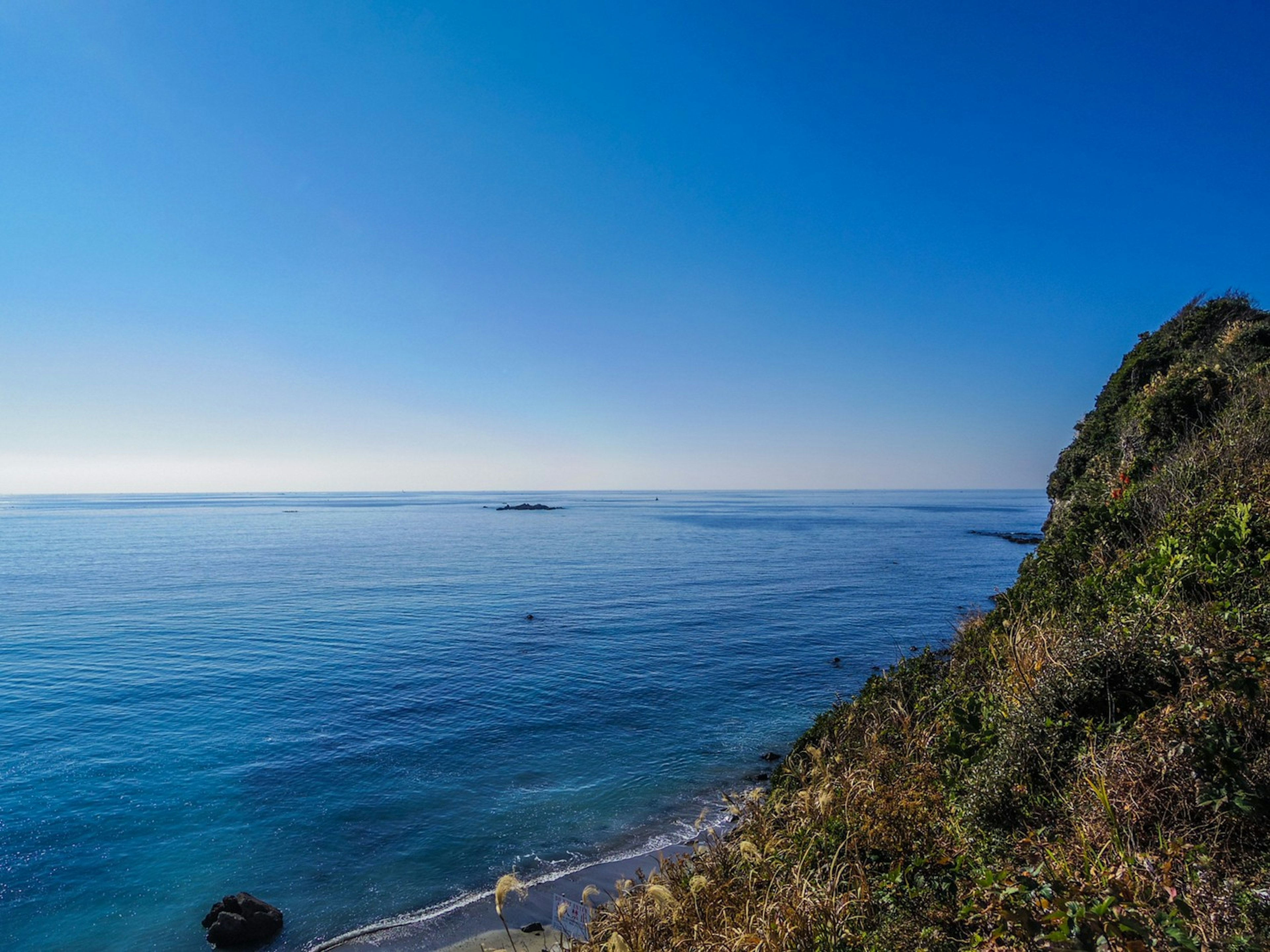 蓝色海洋和天空的风景，海岸草和岩石