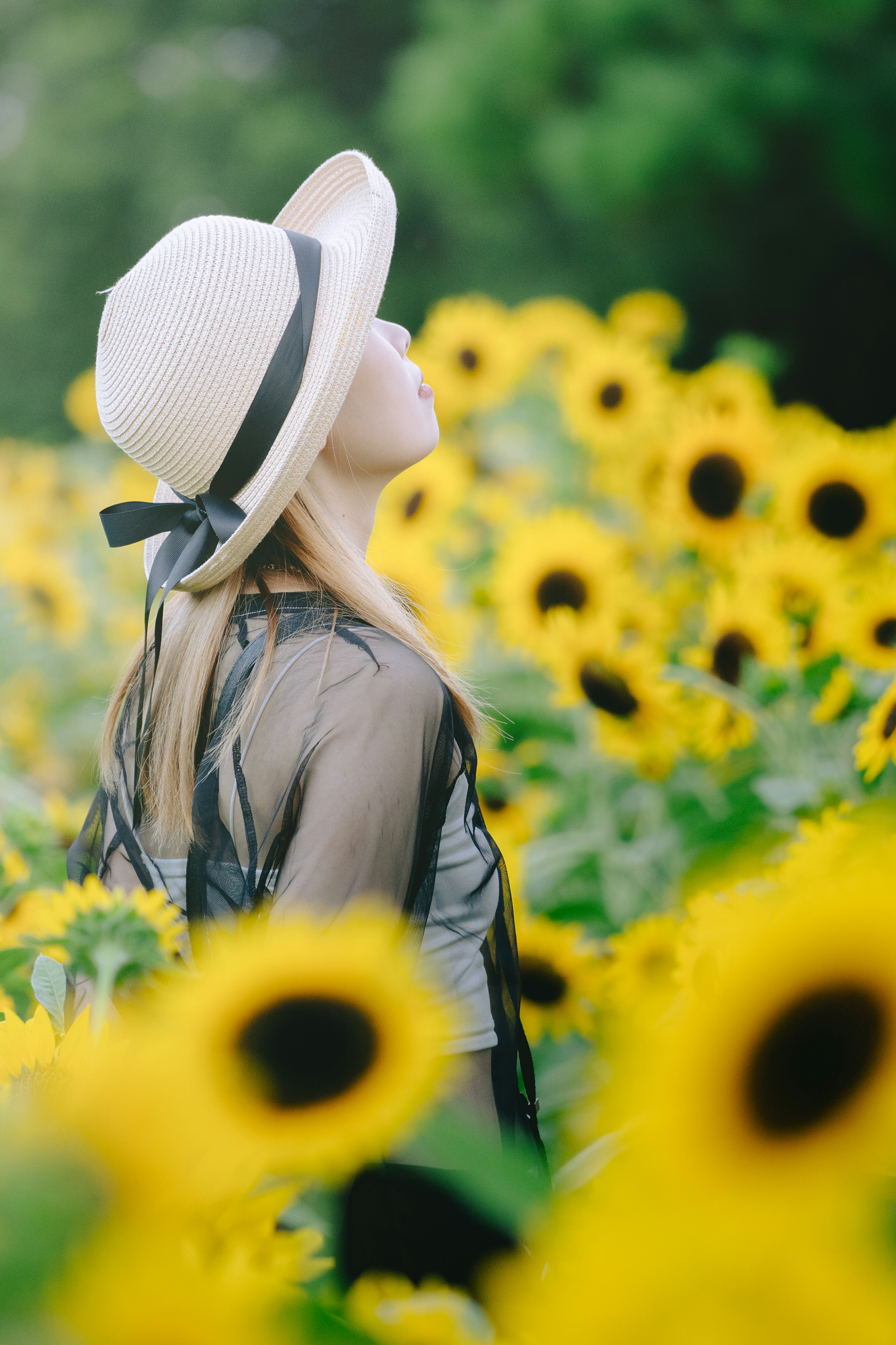 Femme portant un chapeau au milieu des tournesols