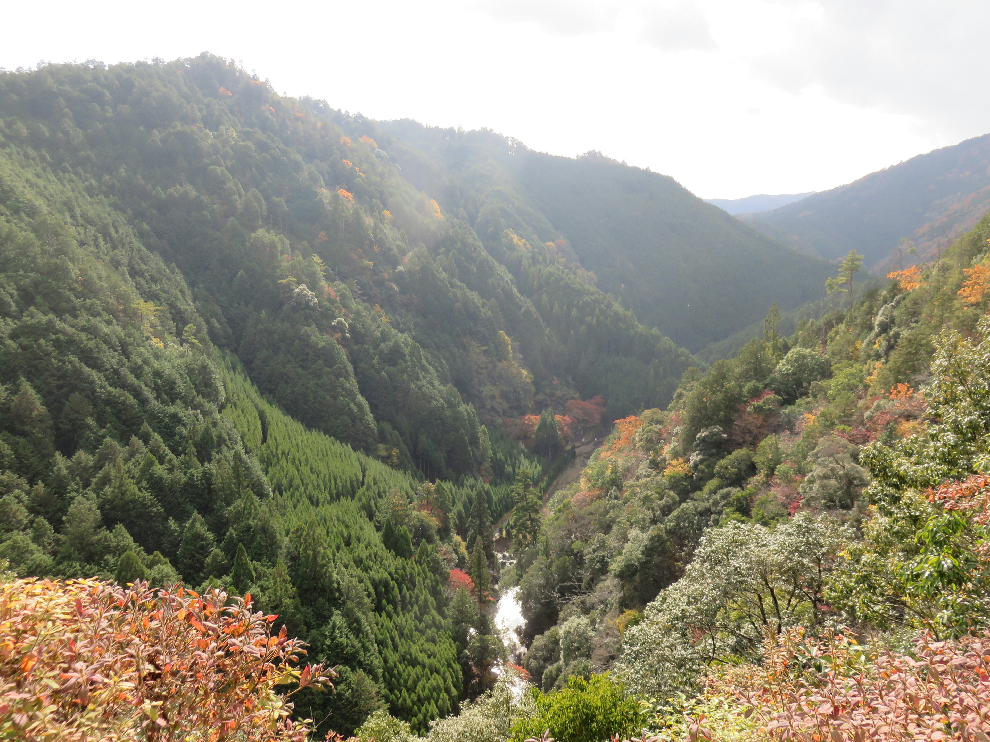 Vista escénica de un valle con follaje de otoño y montañas