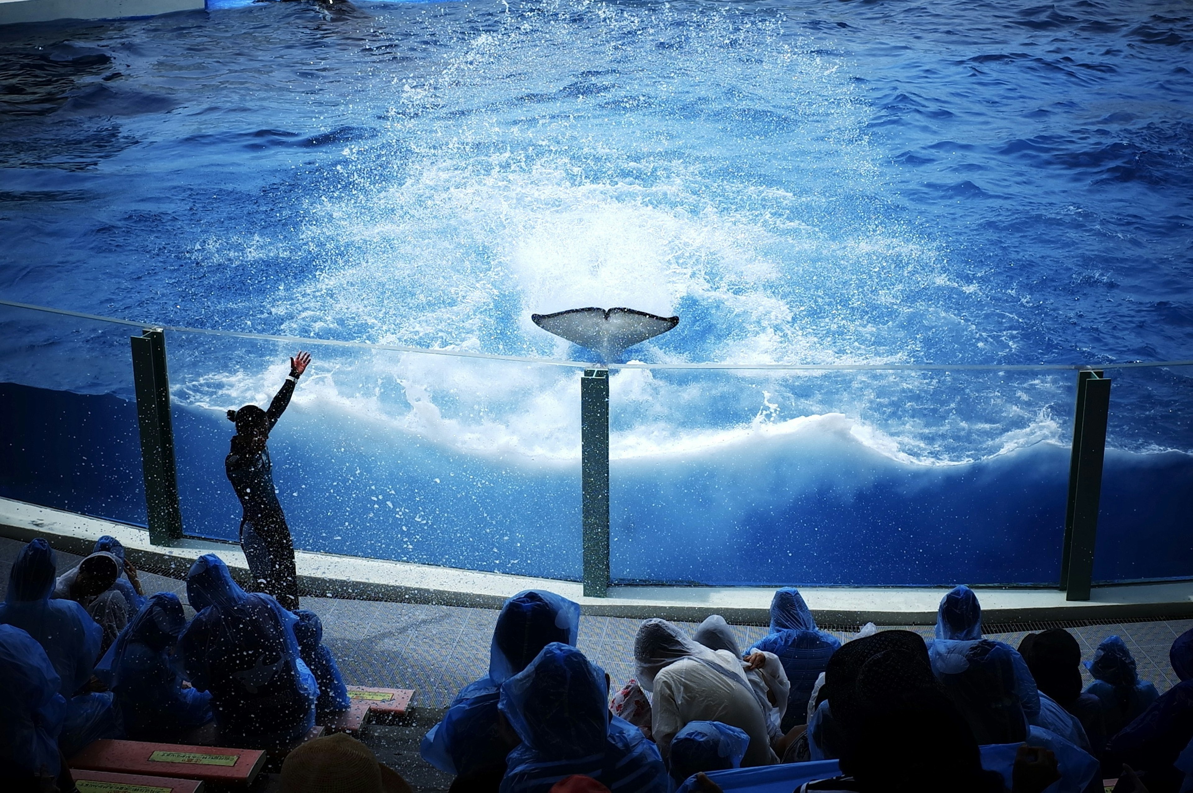 Publikum genießt eine Wasserspritzshow