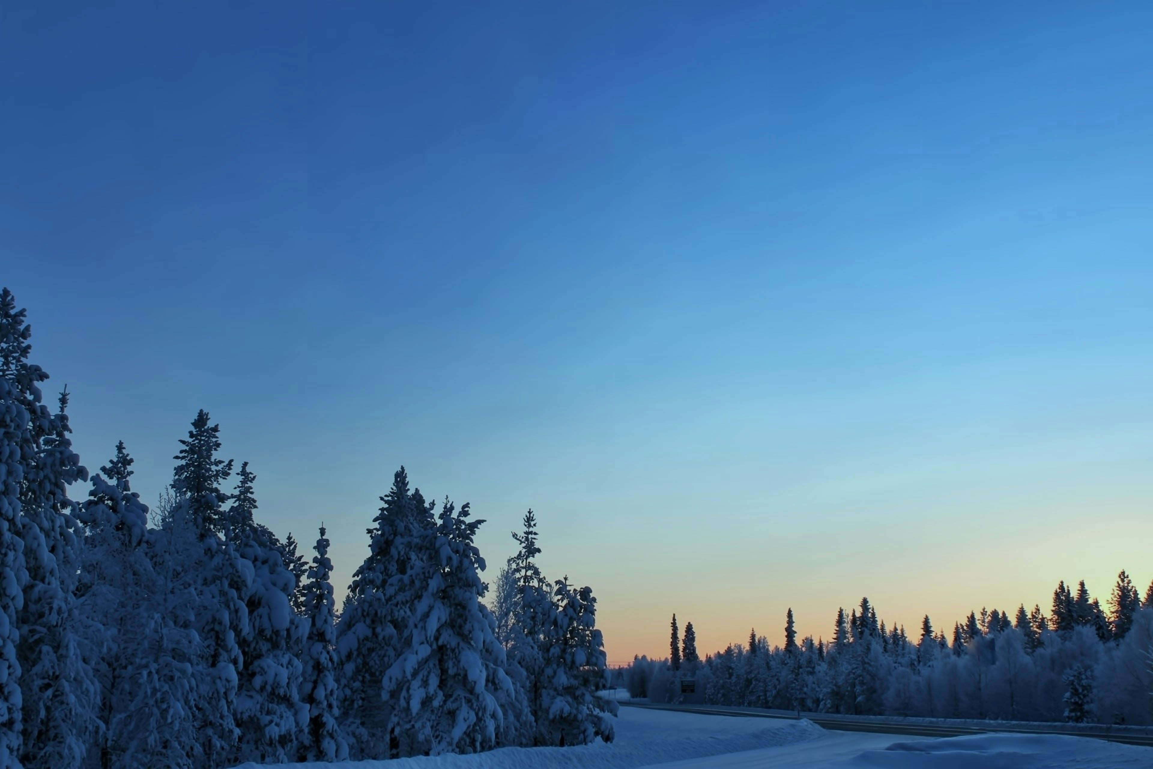 Hermoso paisaje invernal con árboles cubiertos de nieve y cielo azul