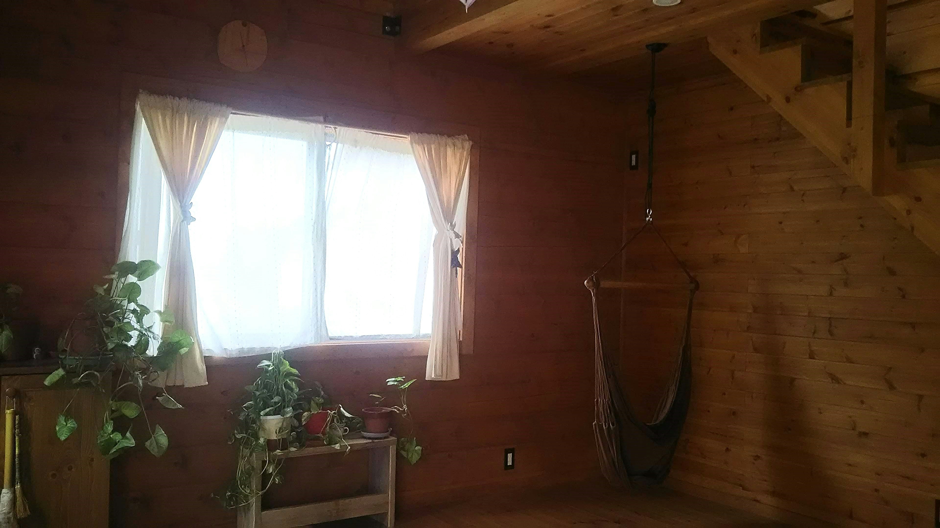 Habitación de madera acogedora con ventana y cortinas plantas y una hamaca