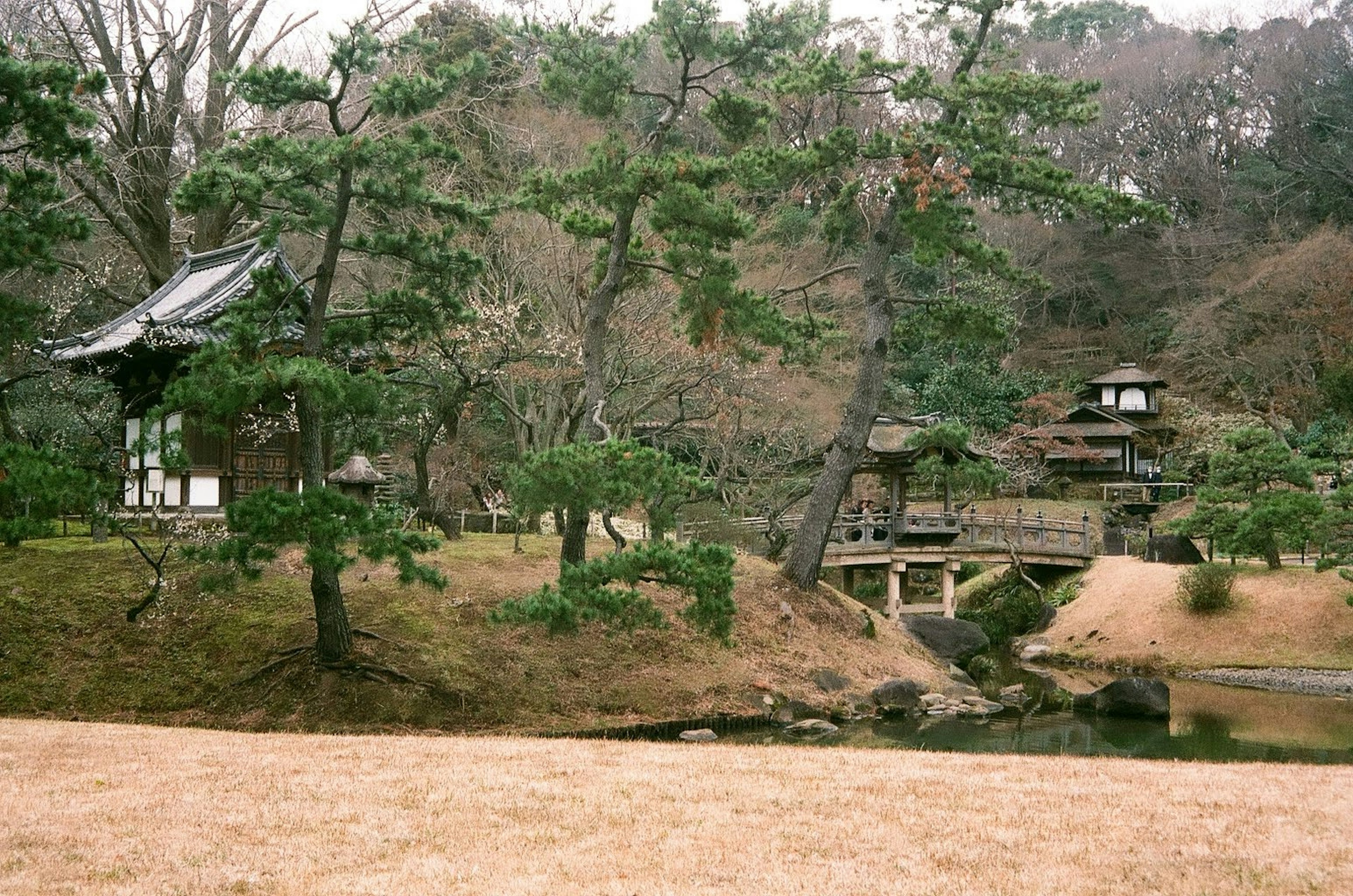 조용한 일본 풍경과 전통 건물 및 무성한 녹음