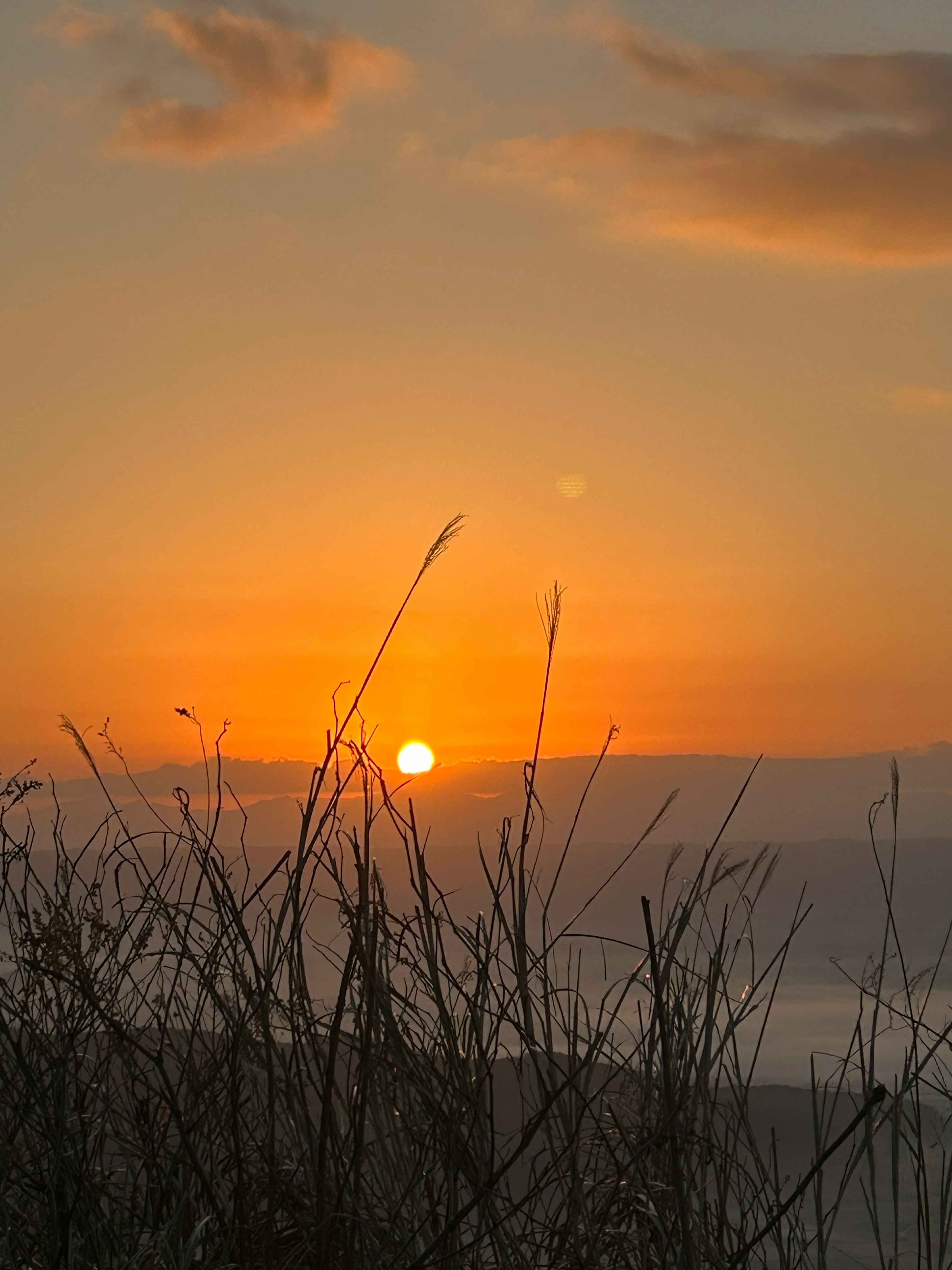 A beautiful sunset with the sun setting beyond the horizon and silhouettes of dry grass