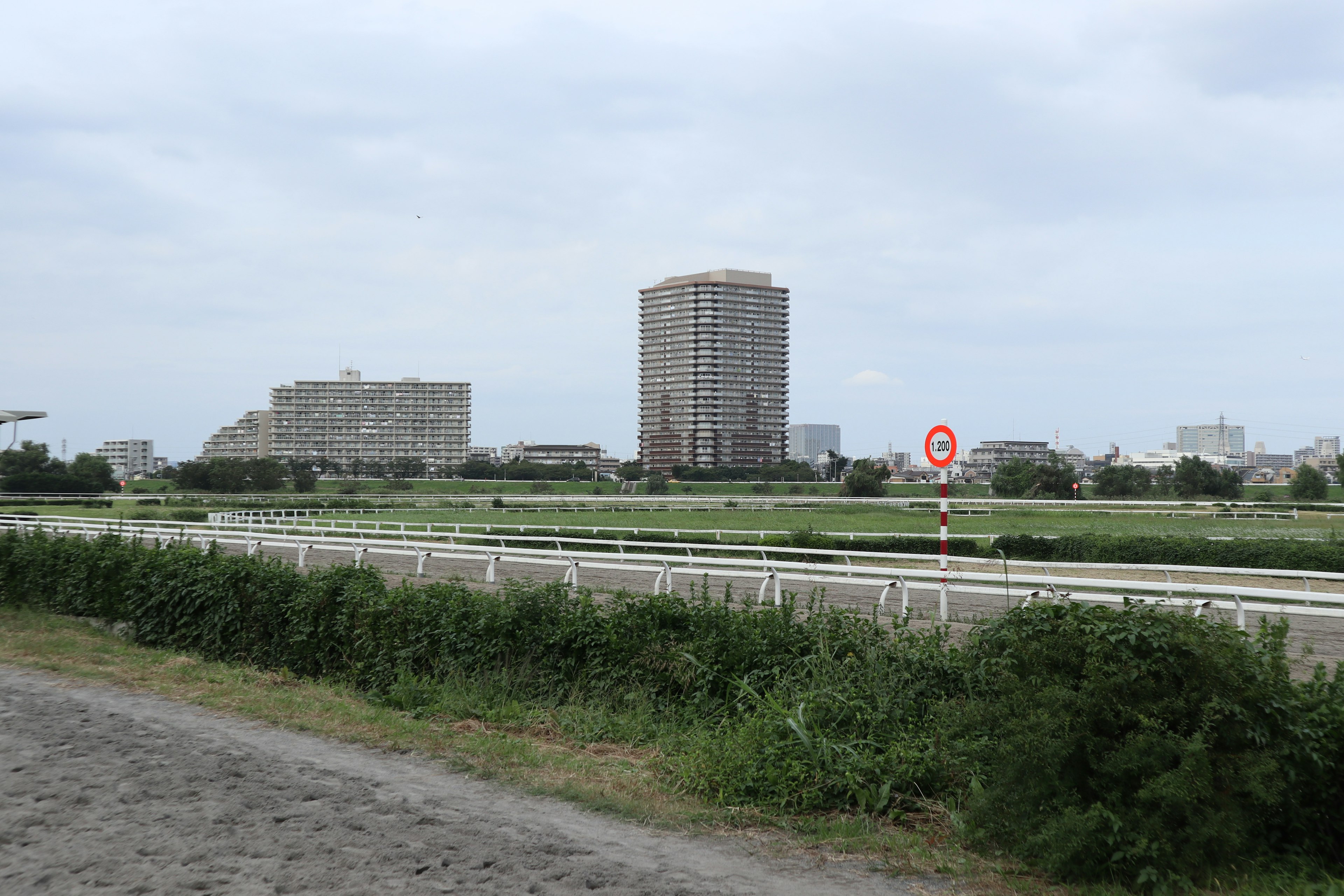 View of high-rise buildings against a green landscape with a road