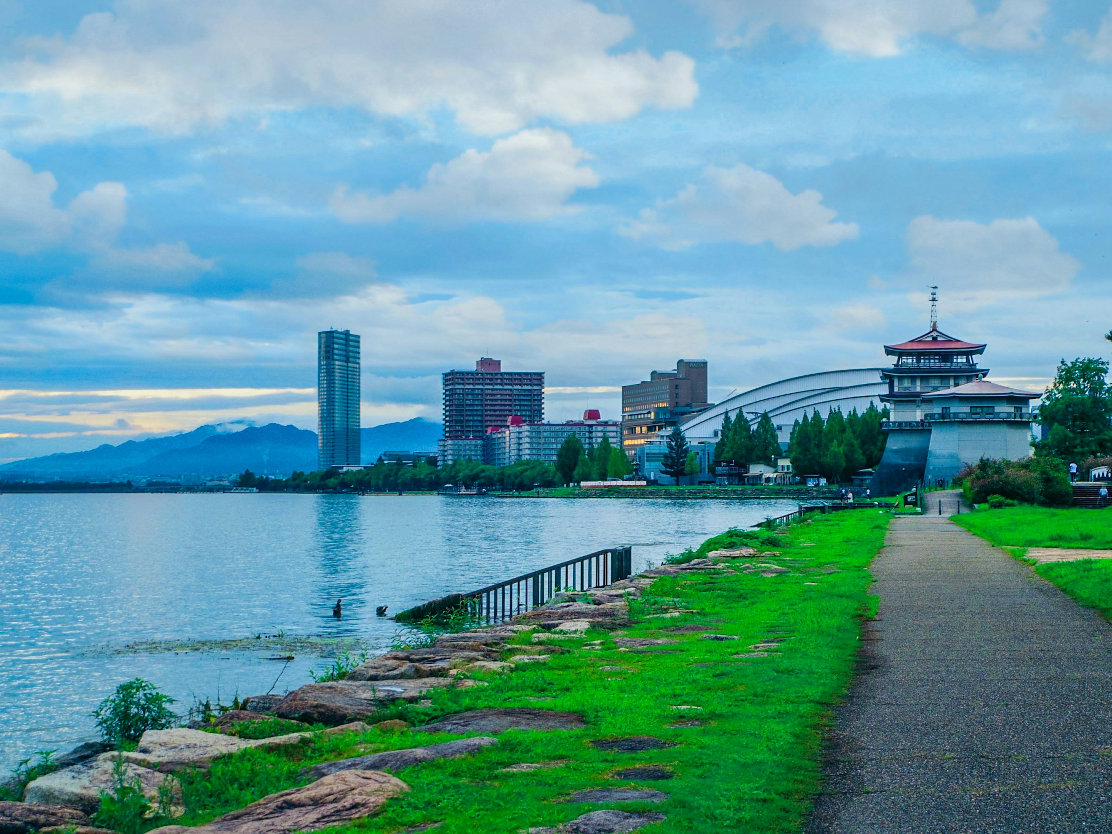 Scenic lakeside view with high-rise buildings and green park