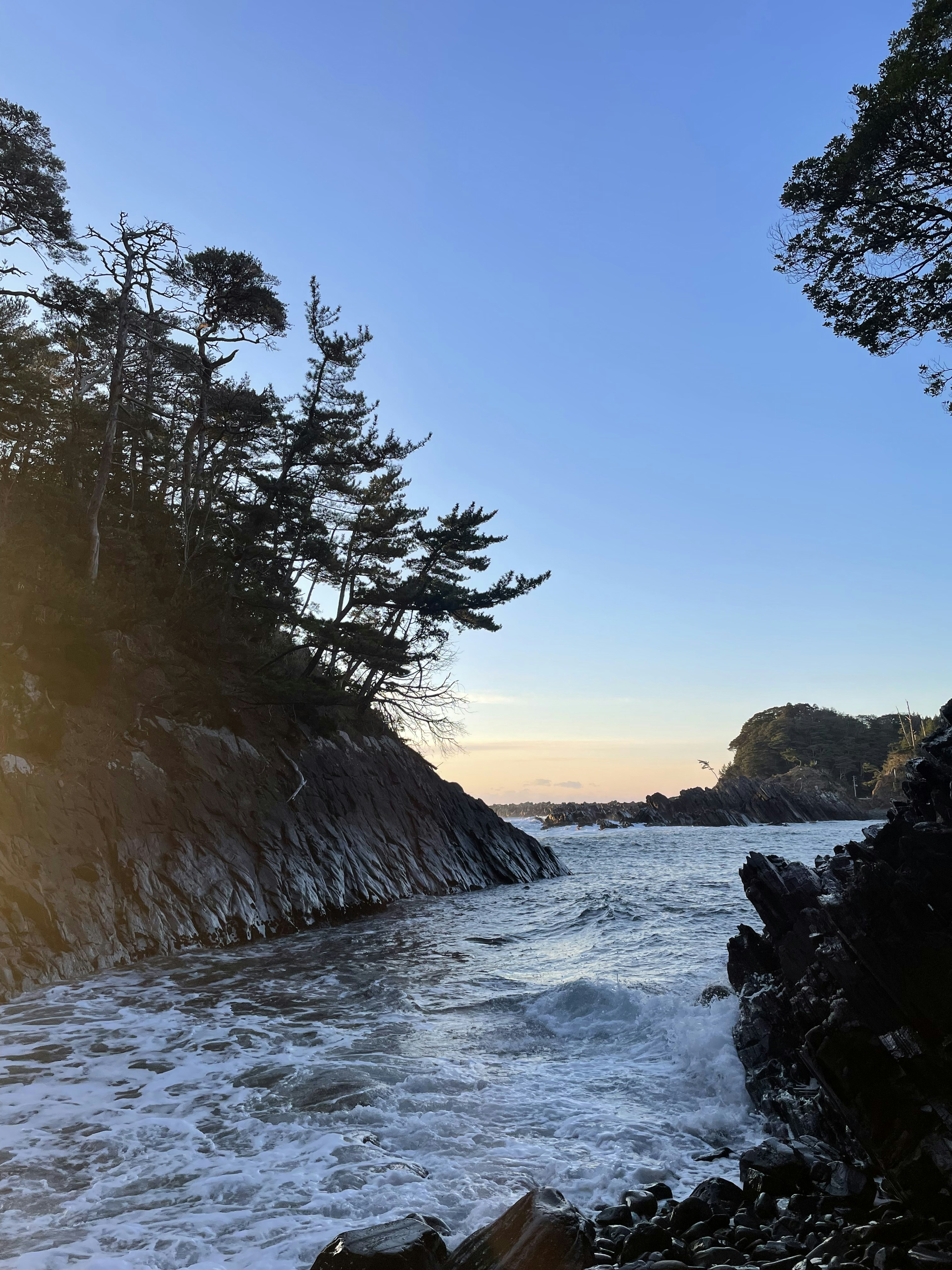 Vue côtière avec des vagues et des arbres au coucher du soleil