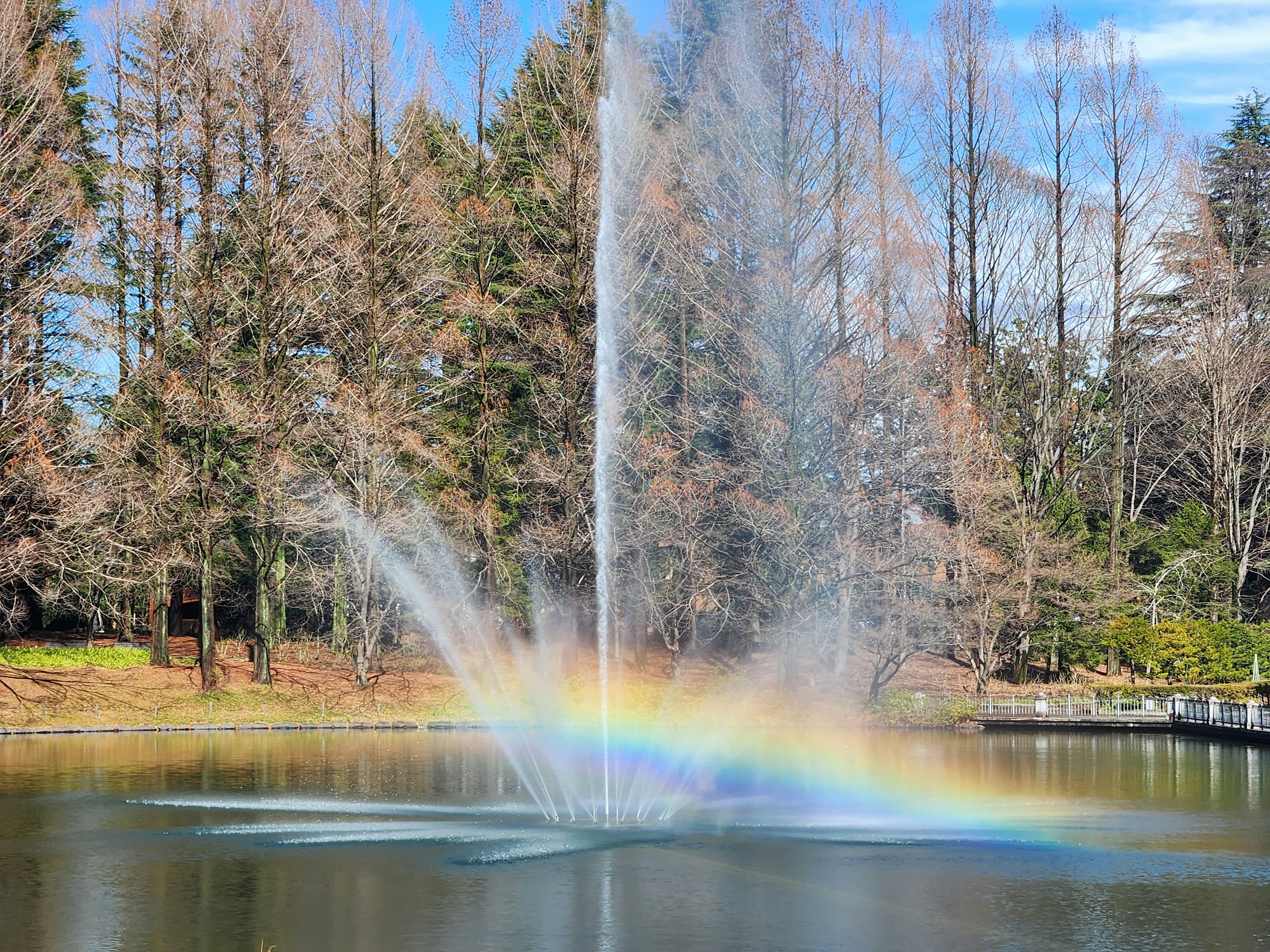 Paysage avec une fontaine dans un étang et un arc-en-ciel