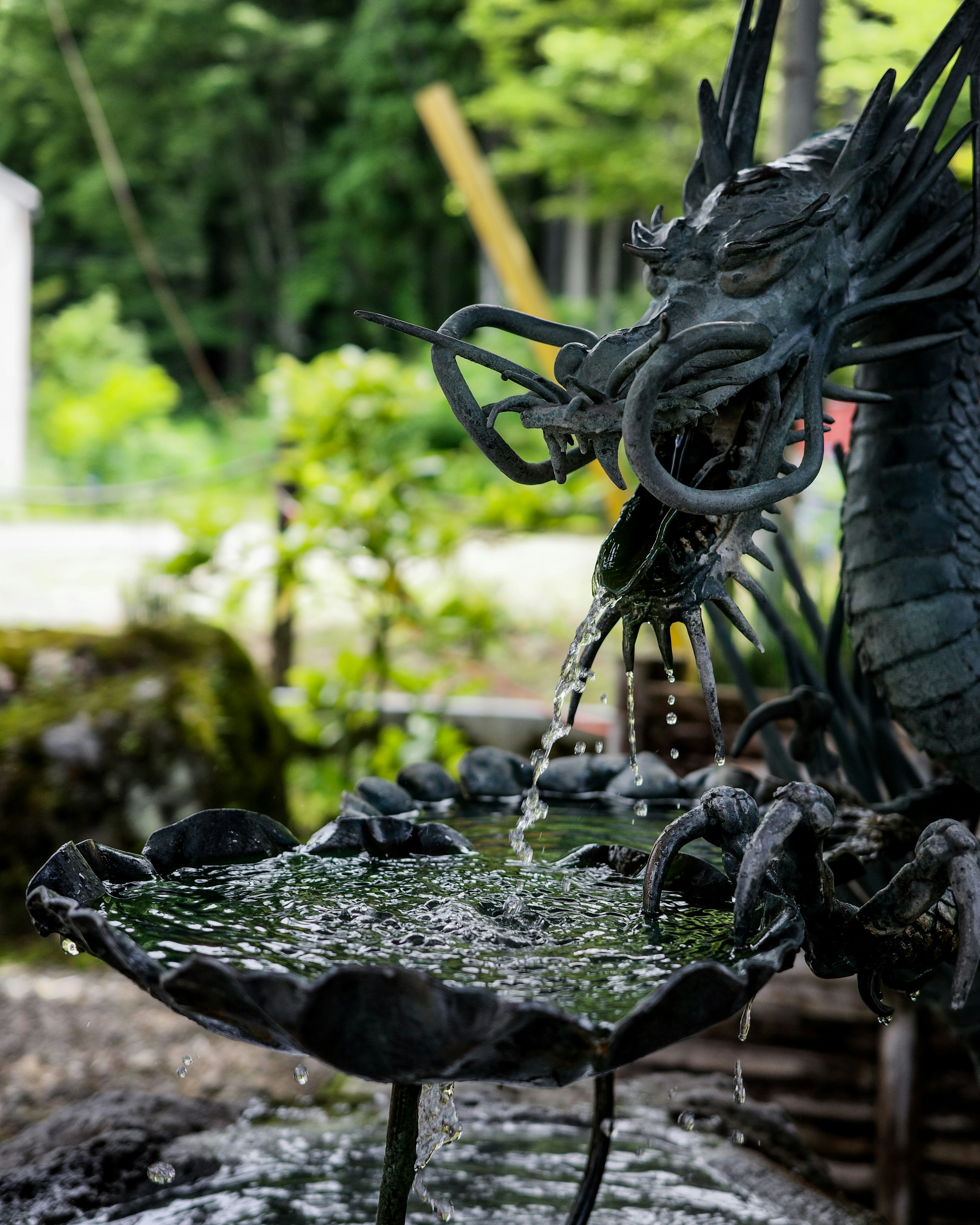 Sculpture de fontaine dragon versant de l'eau dans un jardin luxuriant