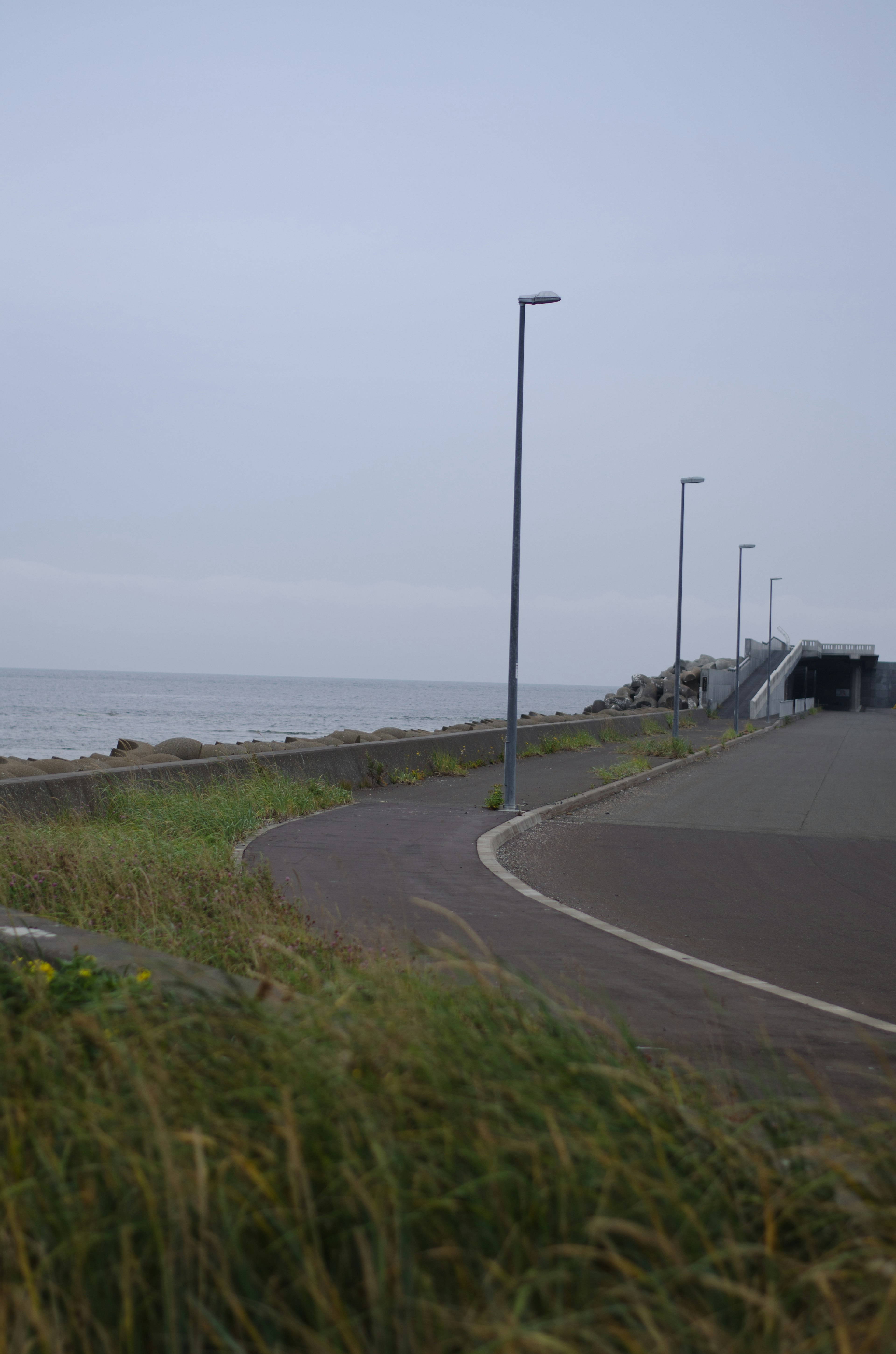 海の近くの曲がりくねった道路と街灯が立っている風景