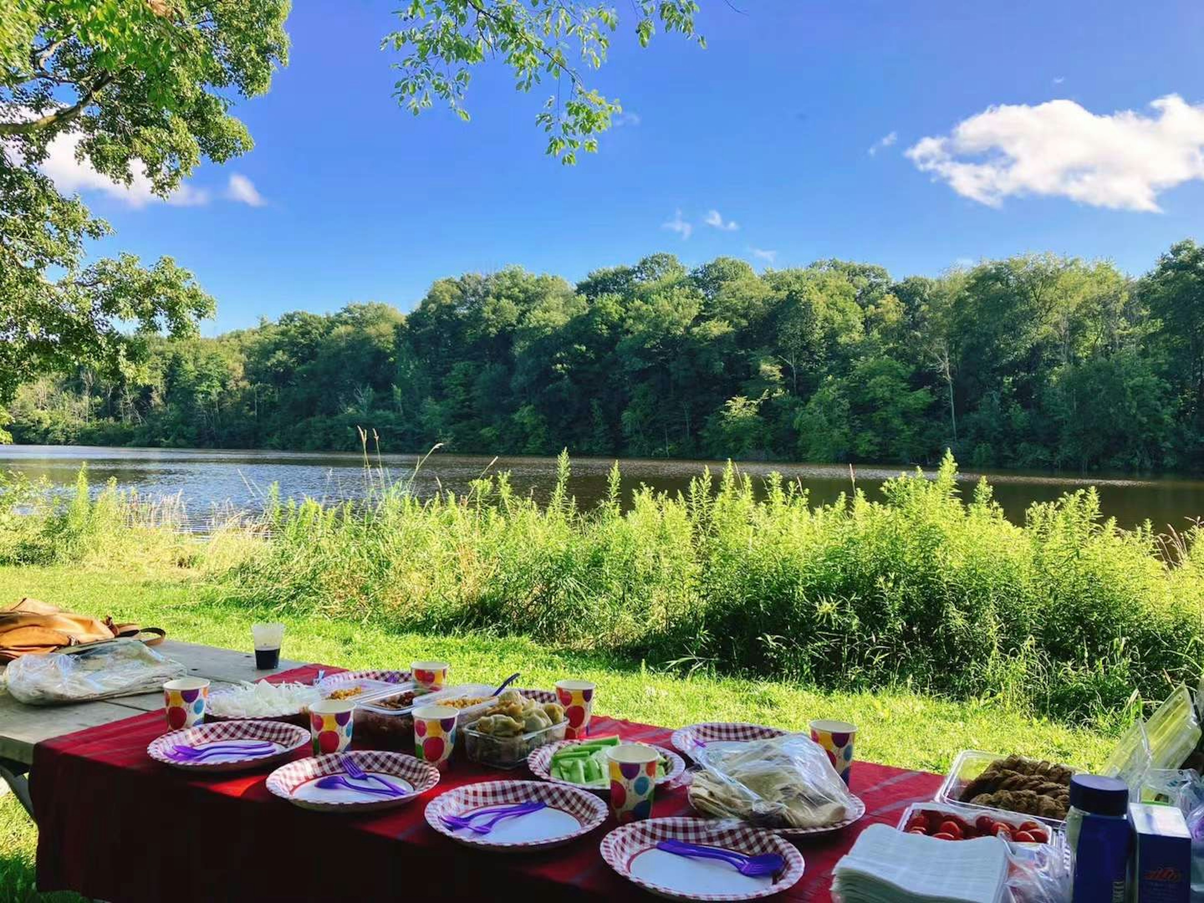 Tavolo da picnic con cibo vicino a un fiume circondato da una lussureggiante vegetazione