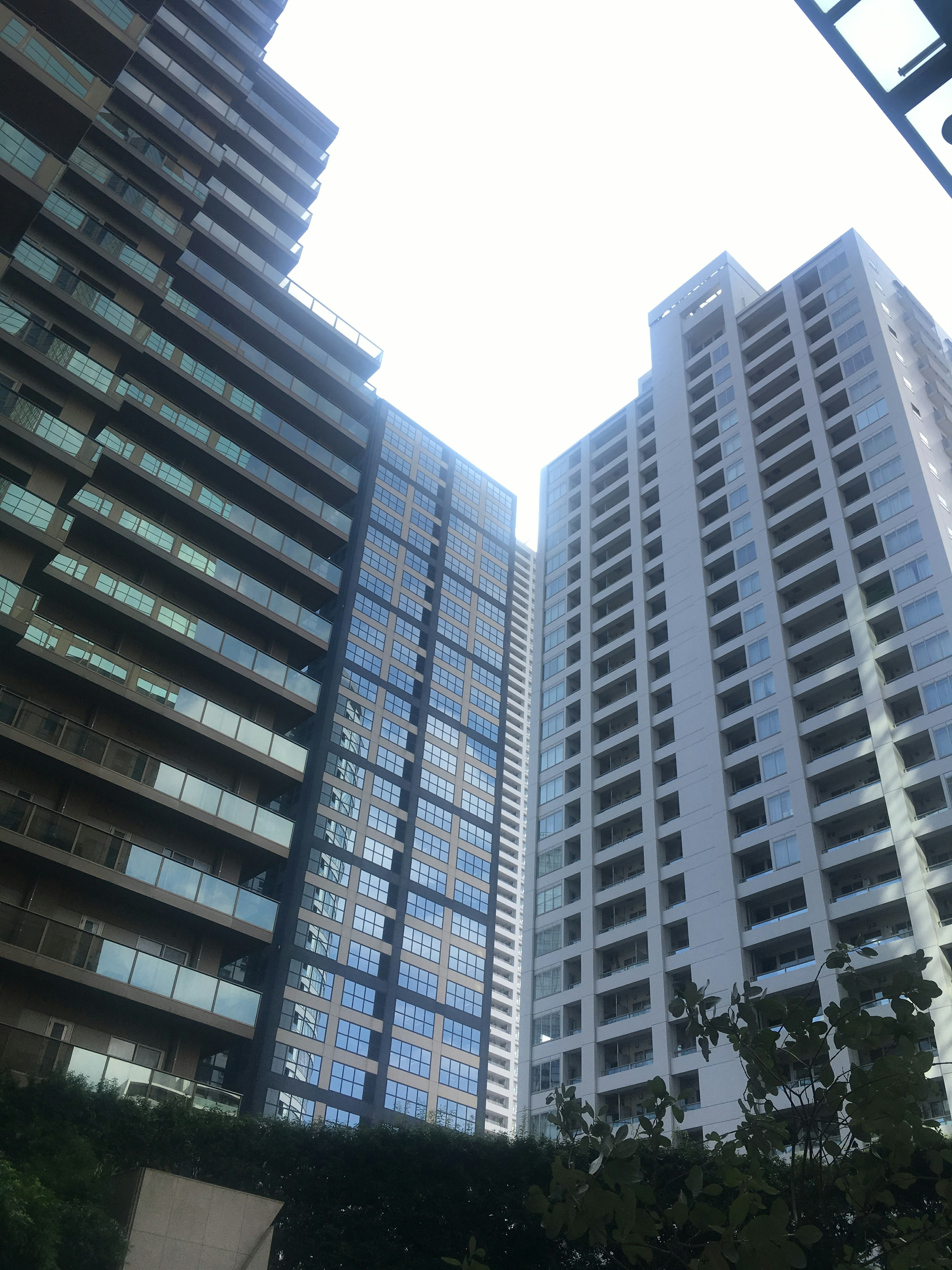 Sky visible between tall buildings with greenery in the foreground