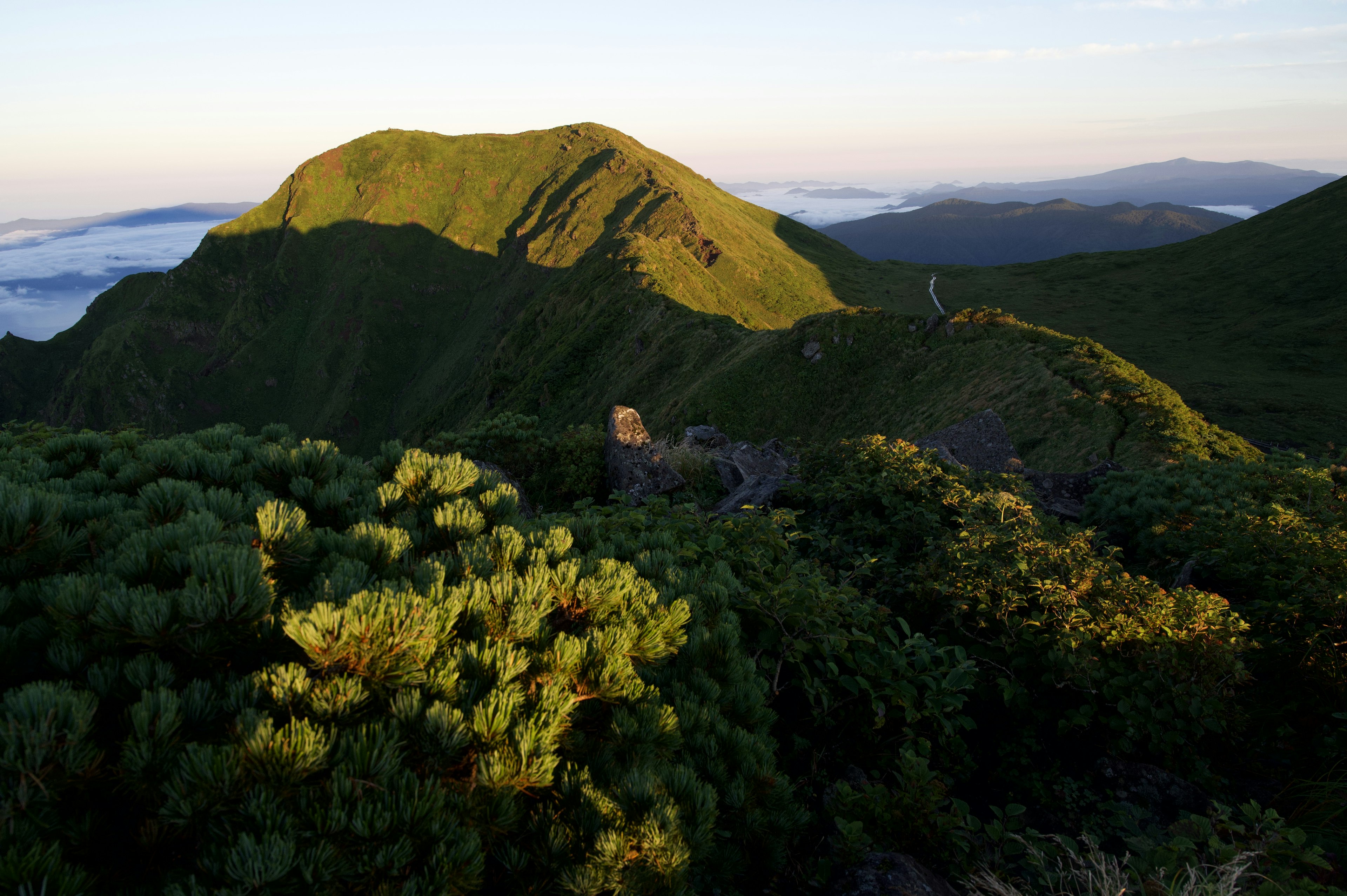 Paysage de montagne verdoyant avec lumière matinale