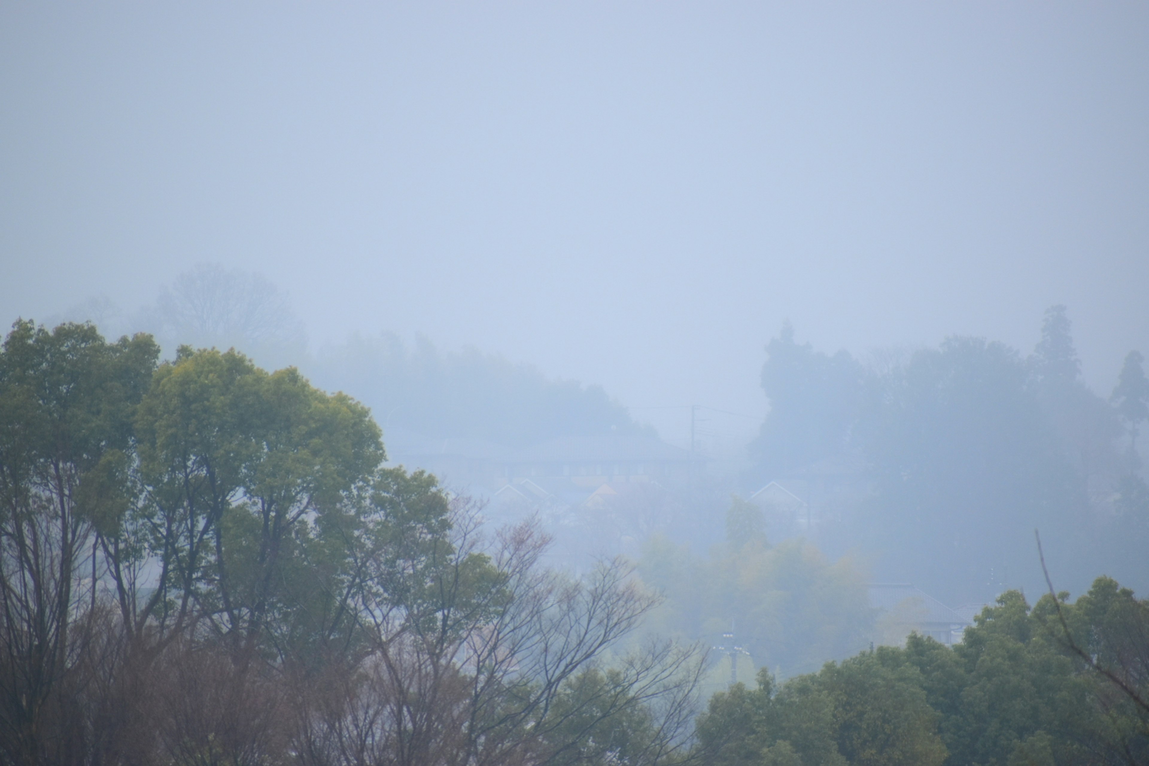 Paysage brumeux avec des arbres et des collines lointaines