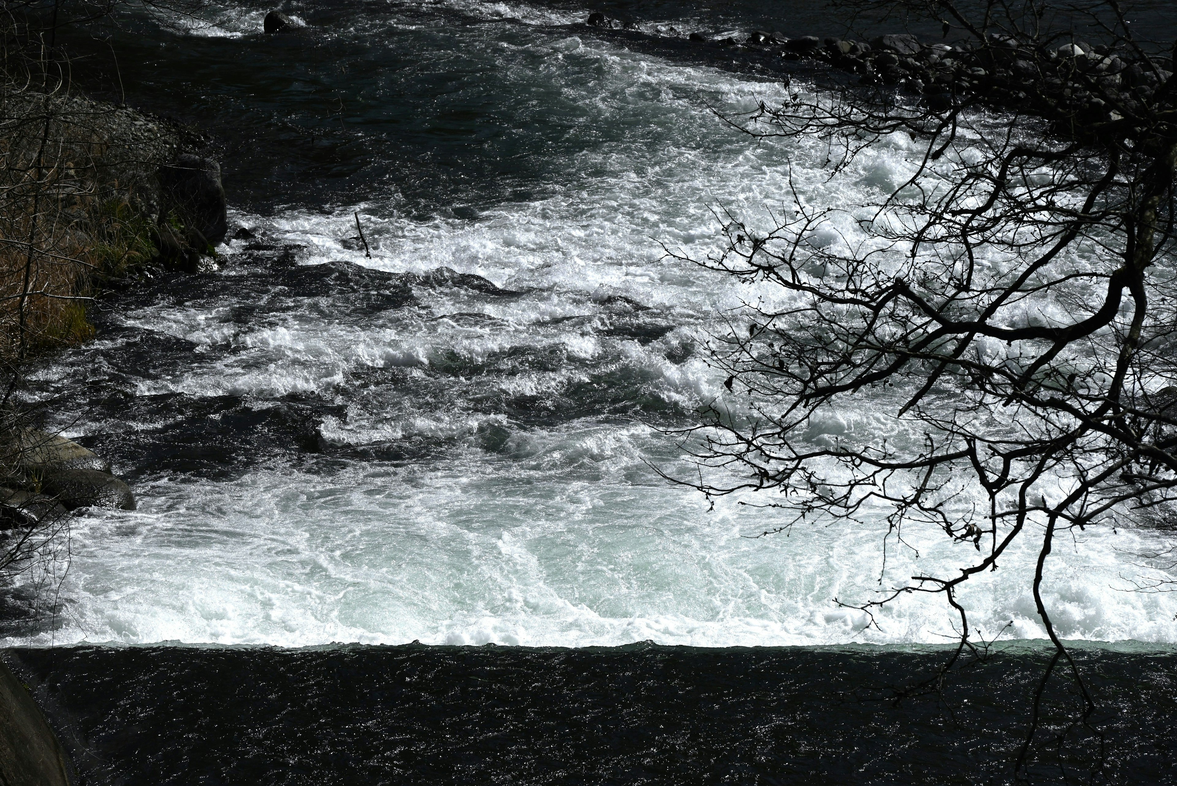 Bild von reißendem Wasser mit weißem Schaum und dunklen Grüntönen, die durch Baumäste sichtbar sind