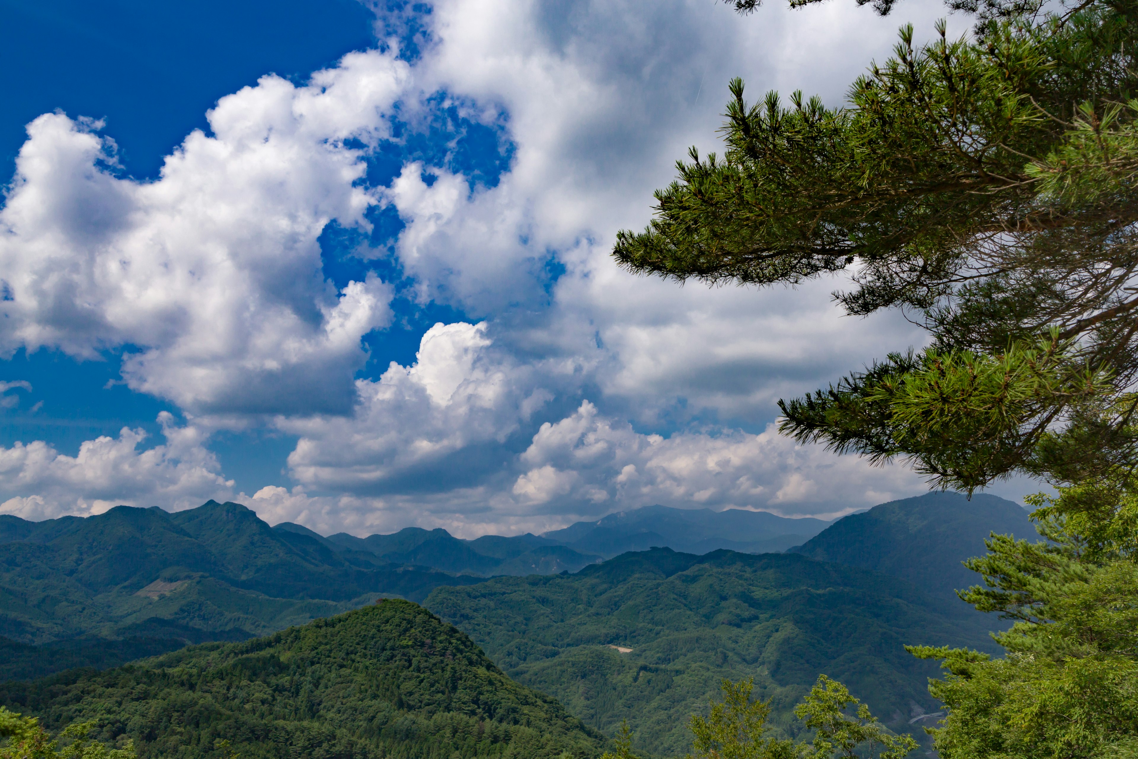 Üppige grüne Berge unter einem blauen Himmel mit flauschigen weißen Wolken