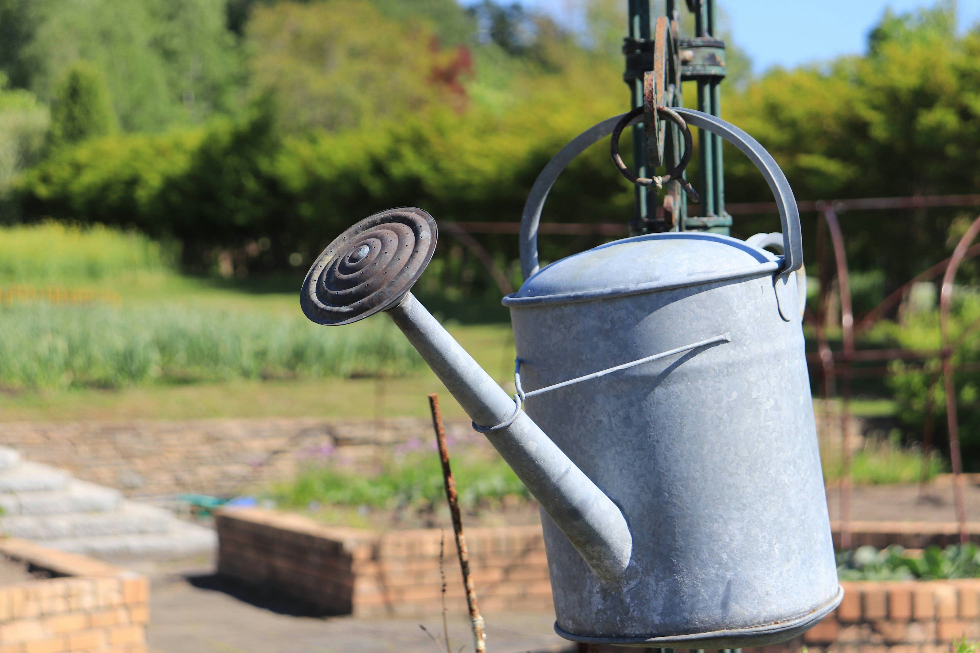 Metal watering can hanging under blue sky