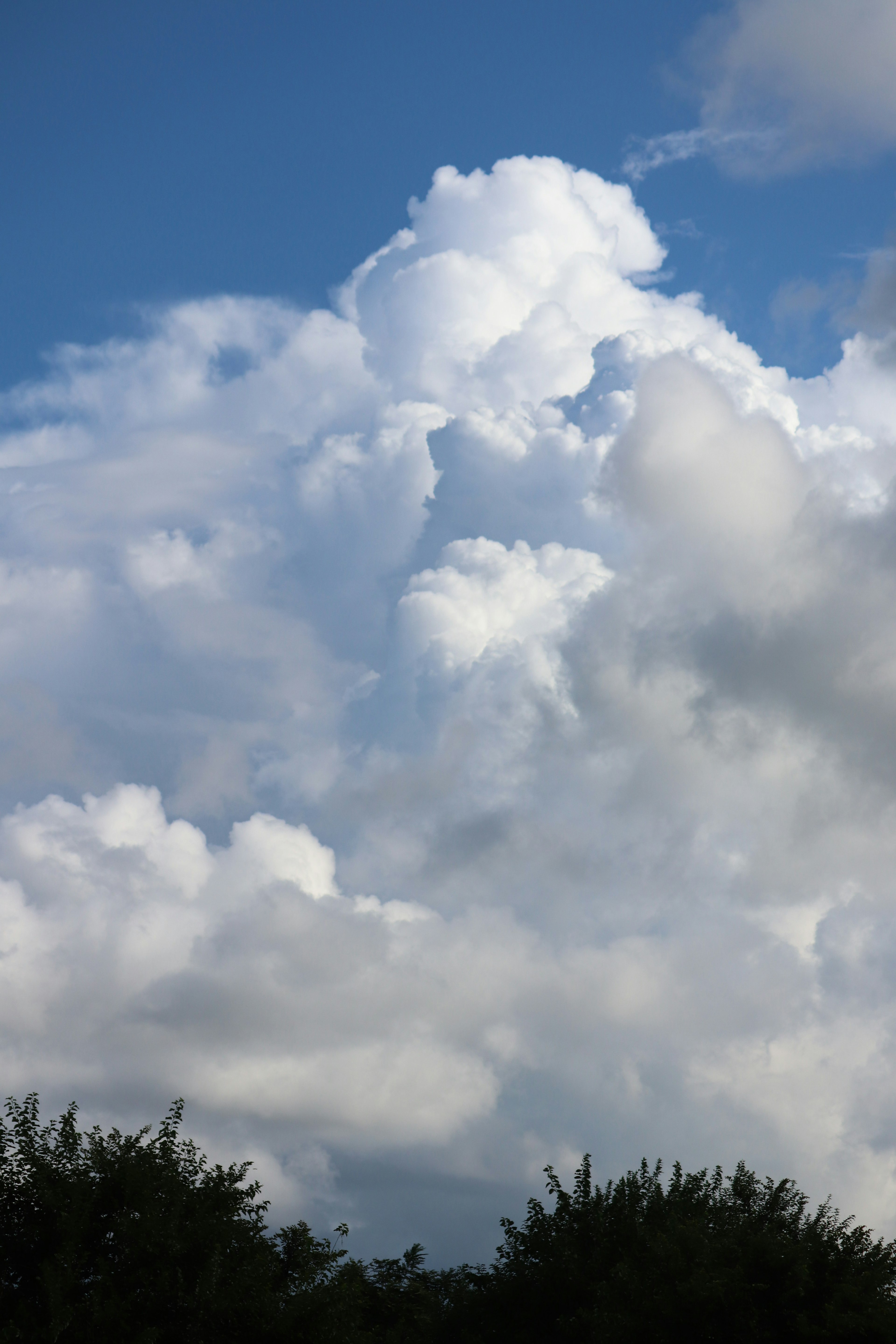 Large white clouds floating in a blue sky