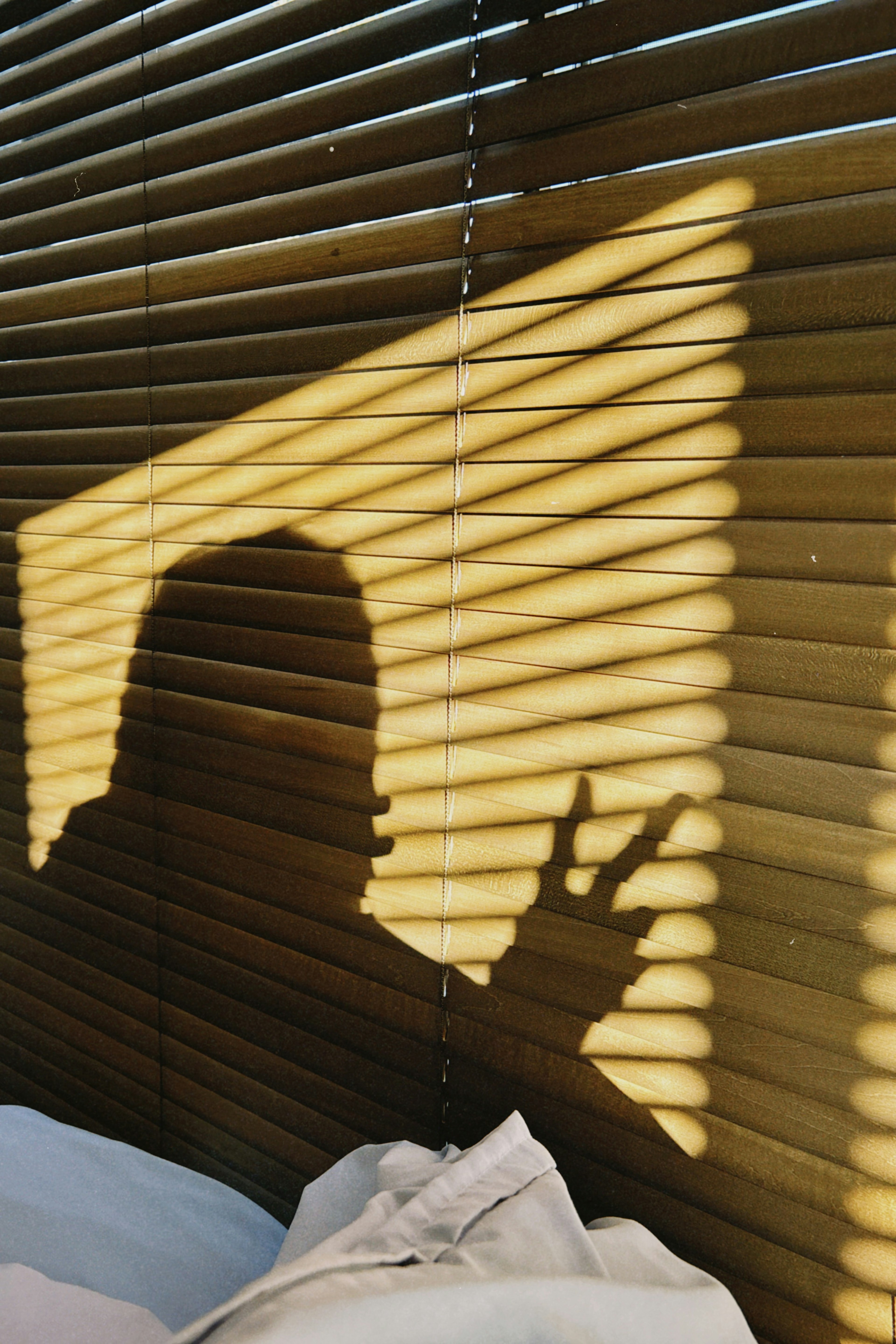 Silhouette of a hand raised against the shadow of blinds in a room