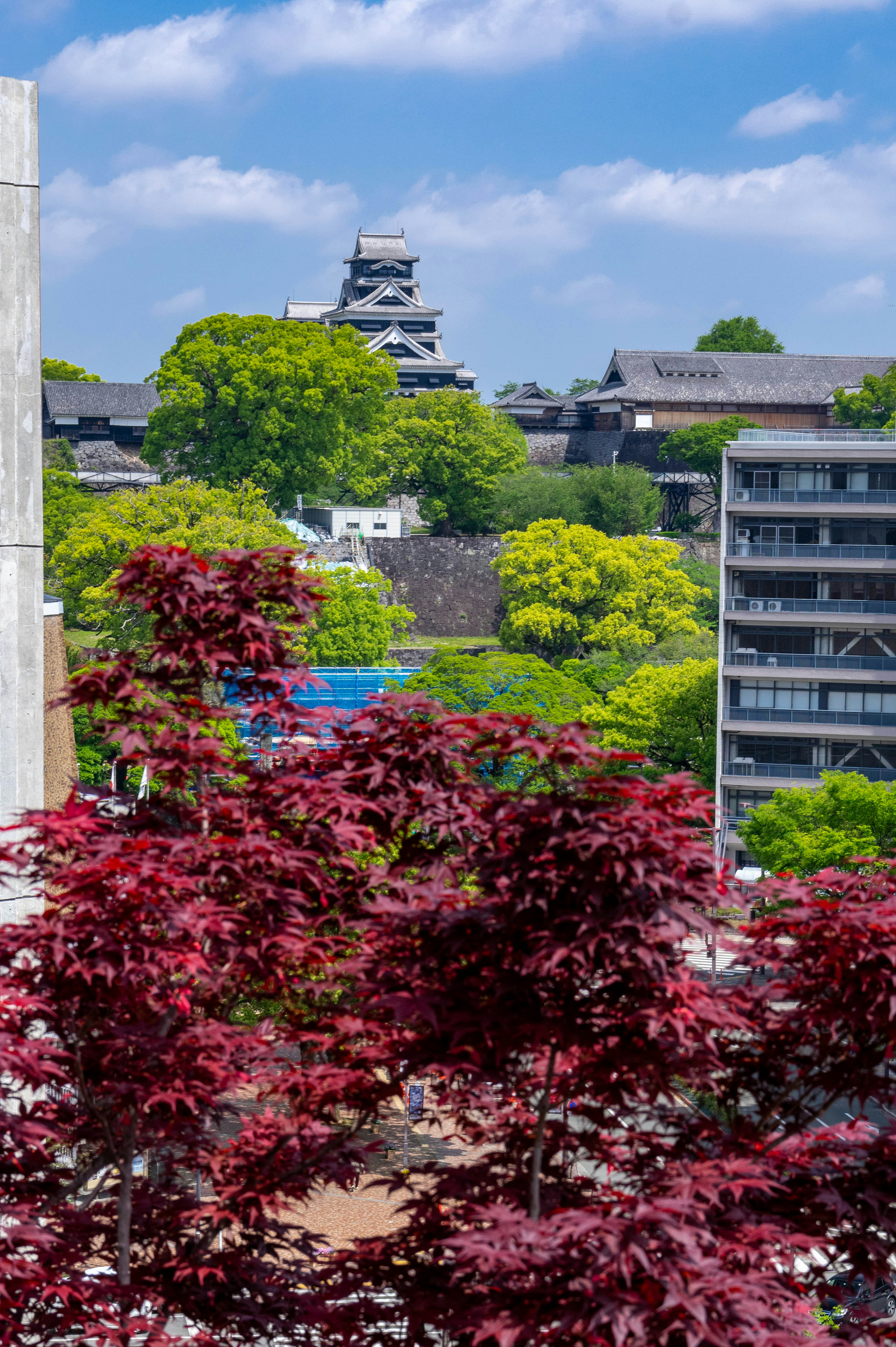 Vue d'un château entouré d'arbres vibrants et de bâtiments modernes