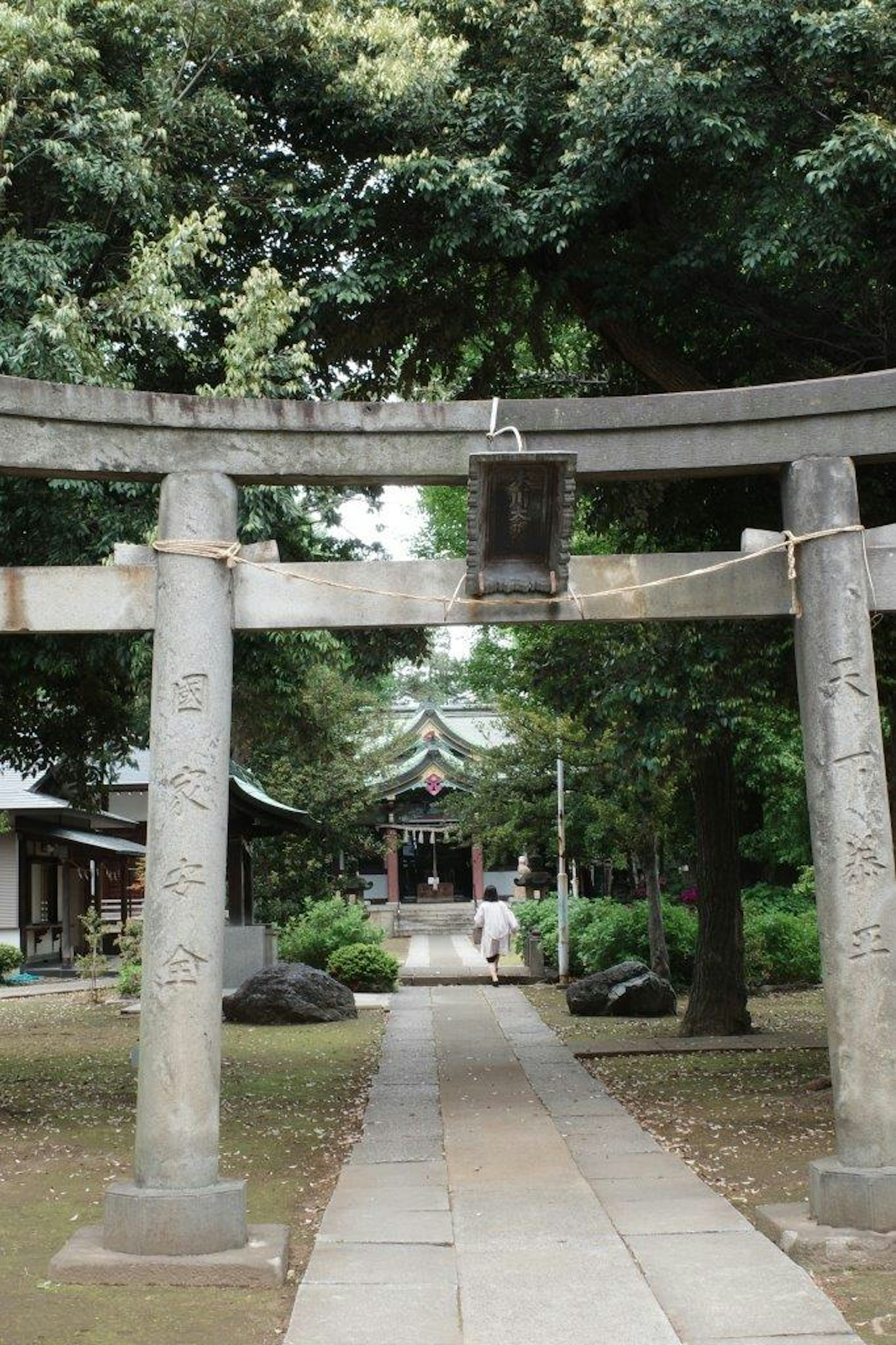 神社の鳥居と参道の風景 緑豊かな木々が囲む