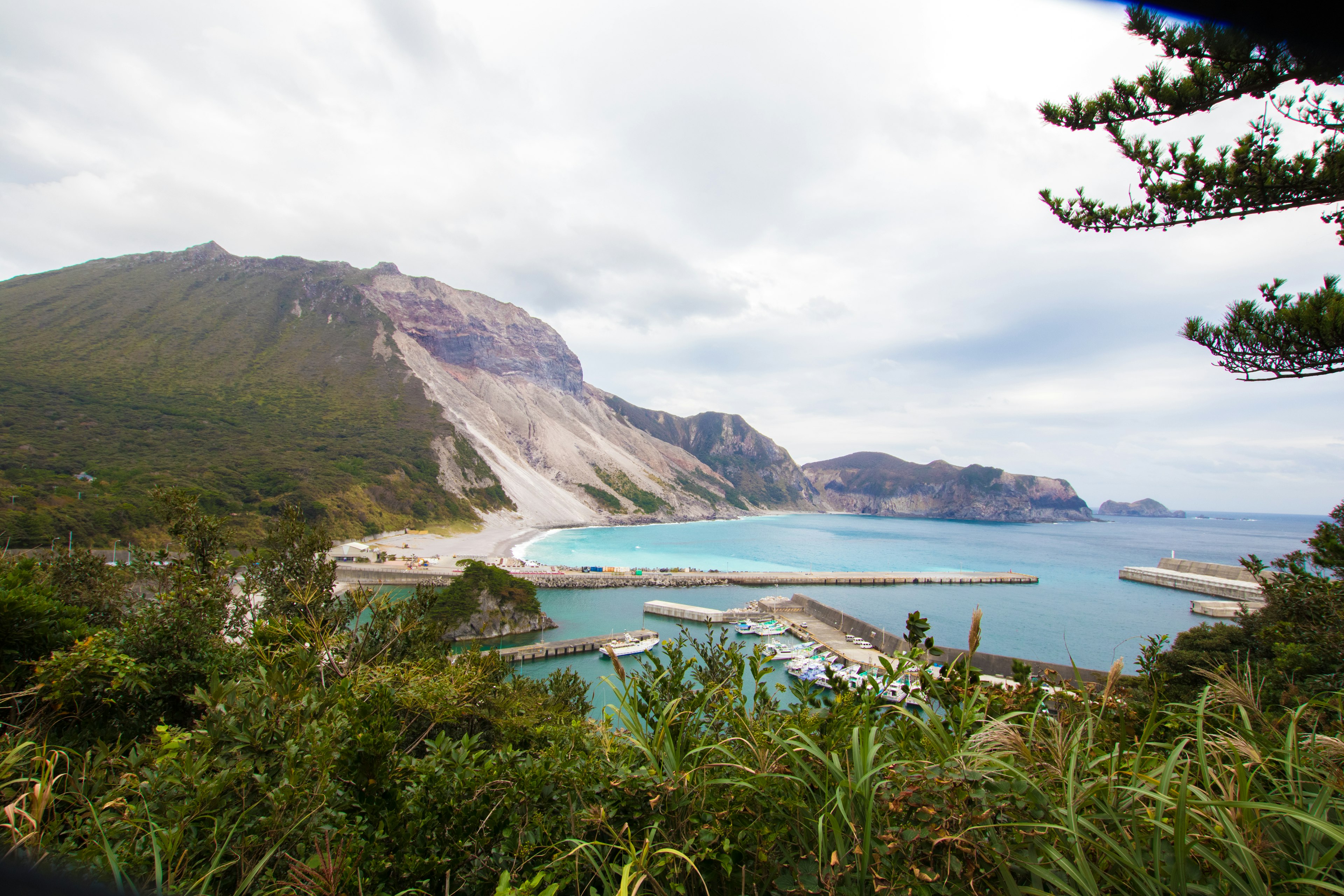 緑の植物と海に囲まれた美しい港の風景