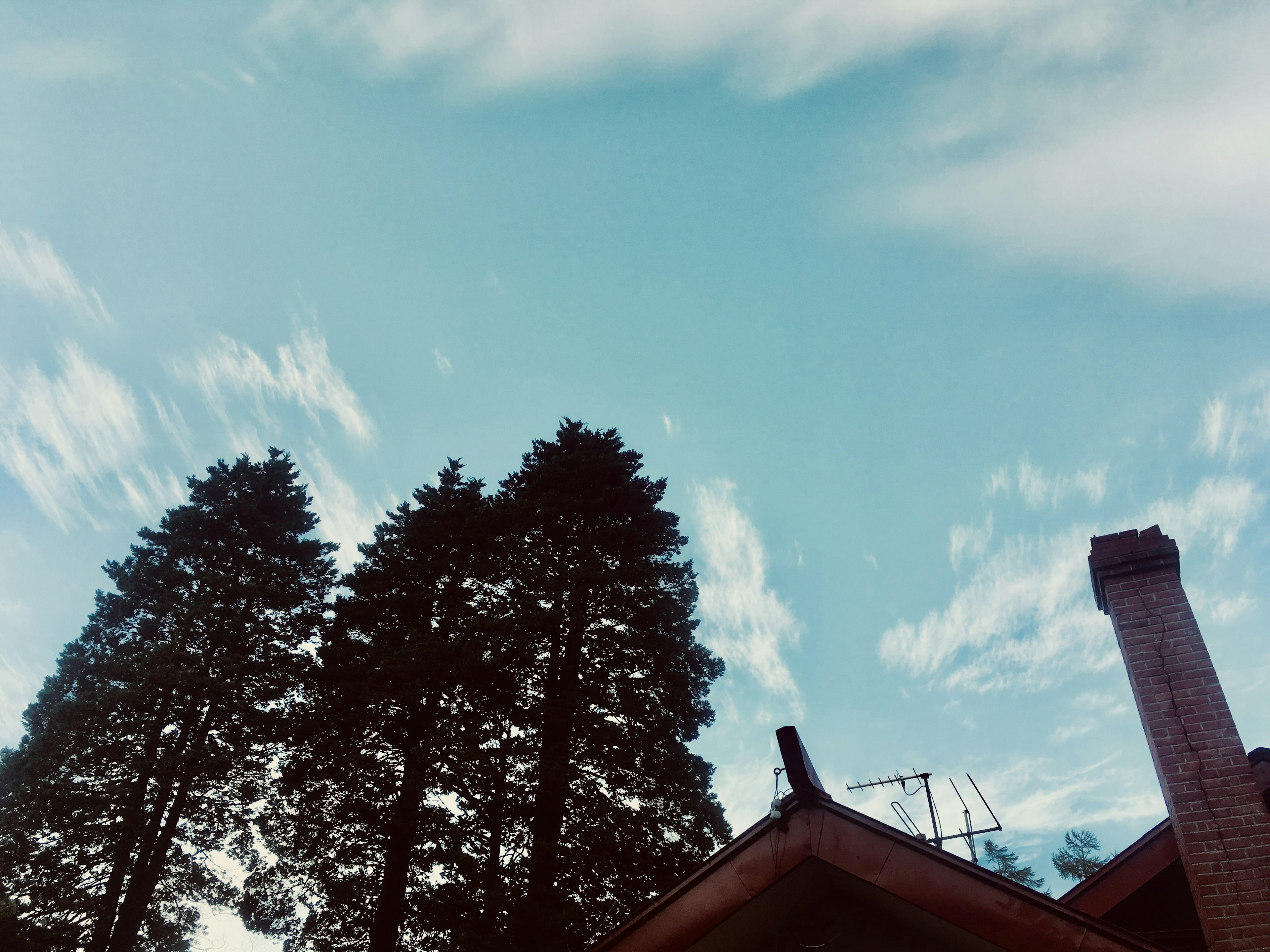 Tall trees and a house roof under a blue sky with clouds