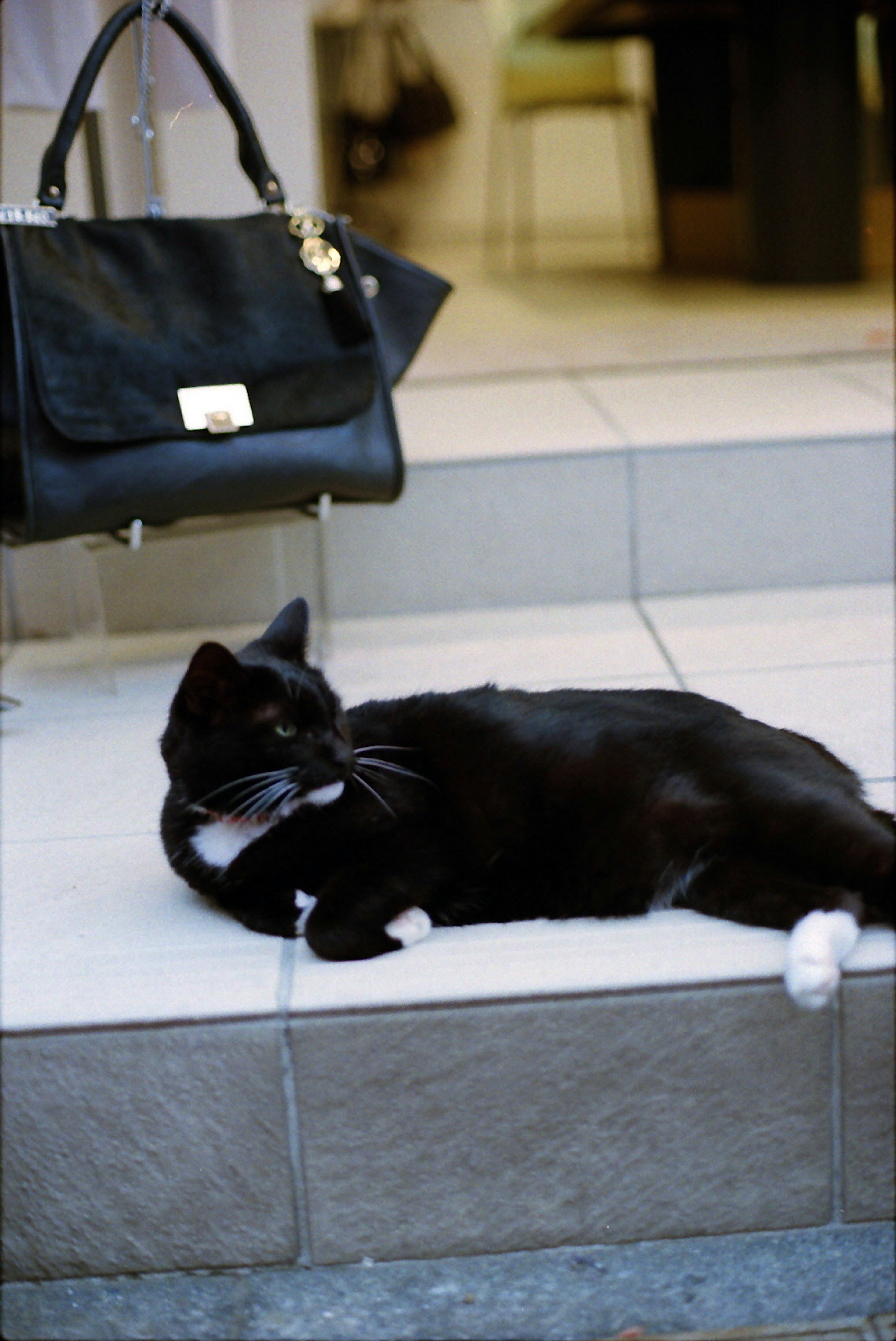 A black cat lounging on steps next to a black handbag