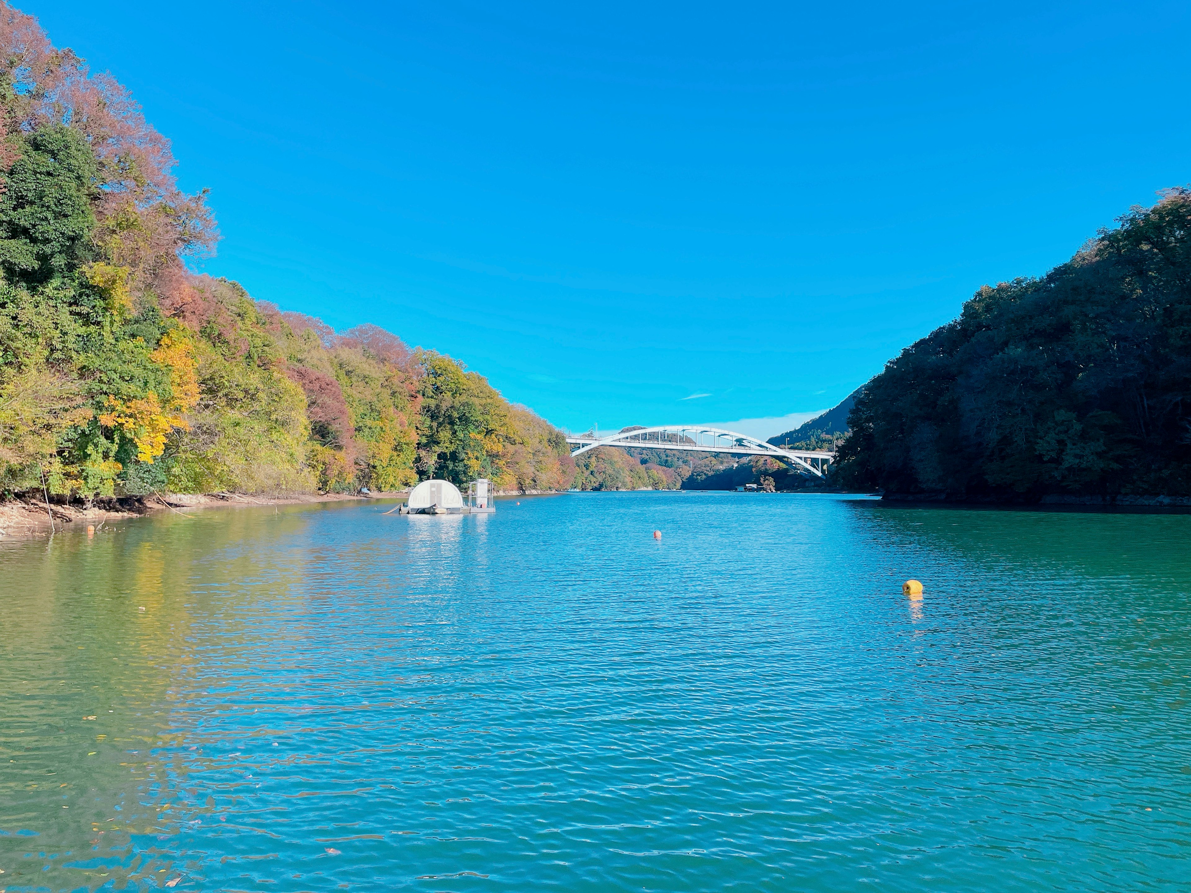 Vista panoramica di acqua blu con alberi colorati e un ponte sullo sfondo