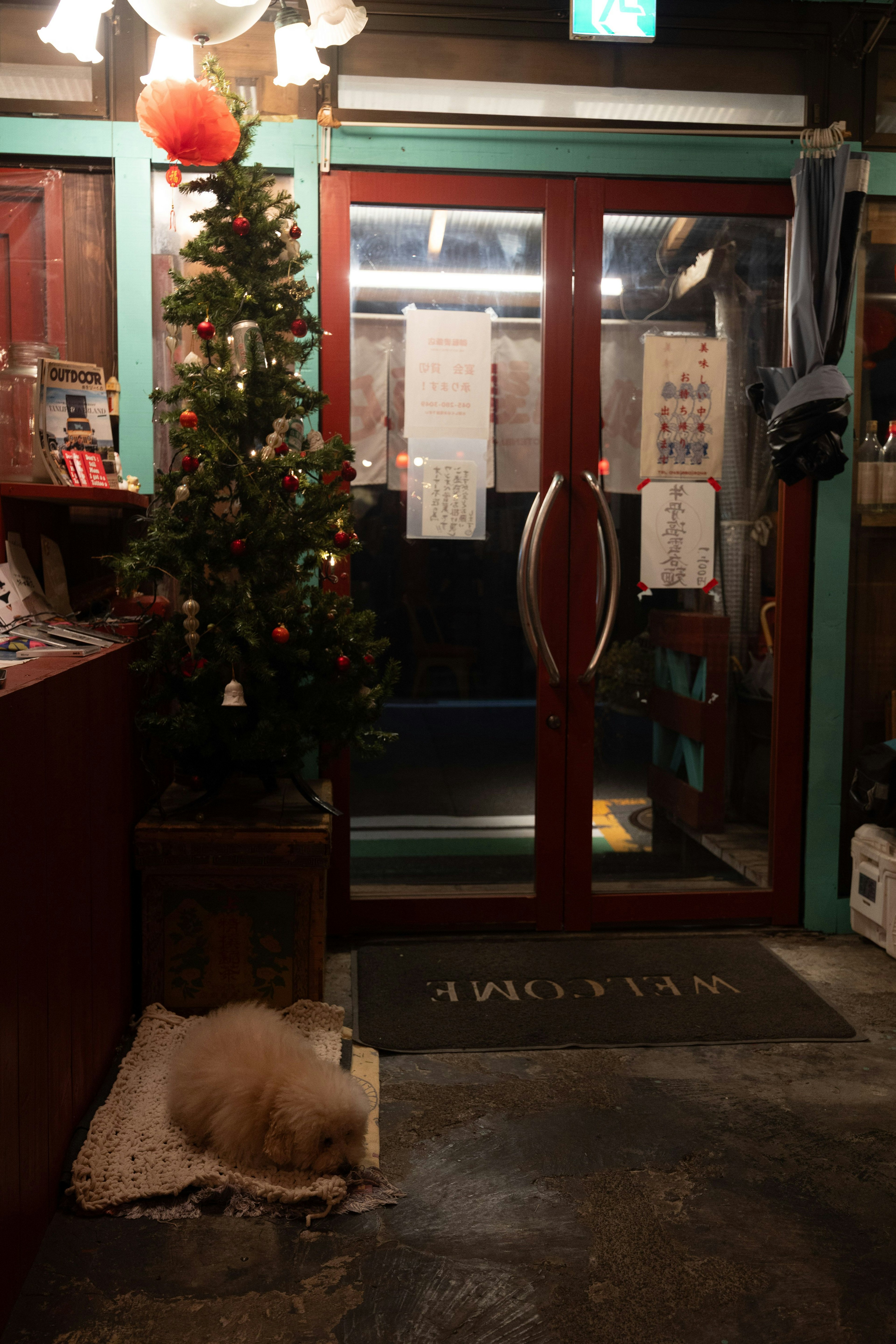 Entrada de un café acogedor con un árbol de Navidad y un perro durmiendo en un tapete