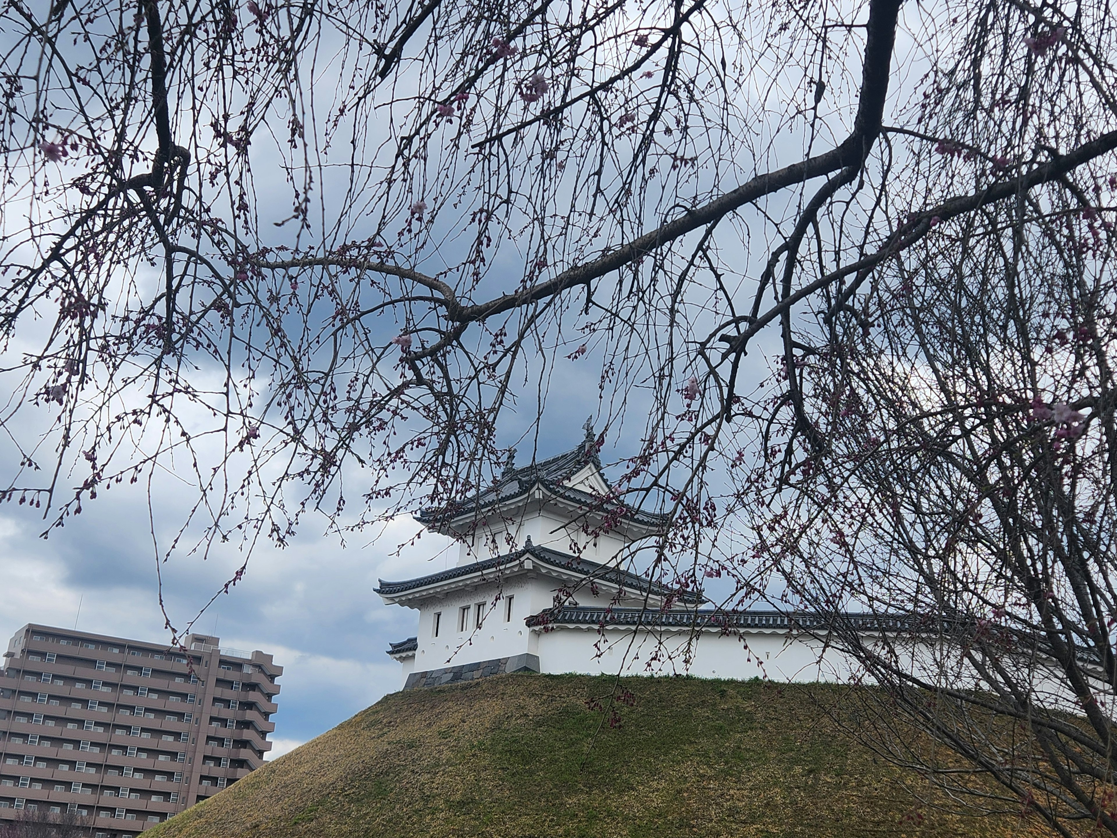 桜の木の枝と城を背景にした雲の多い空の風景