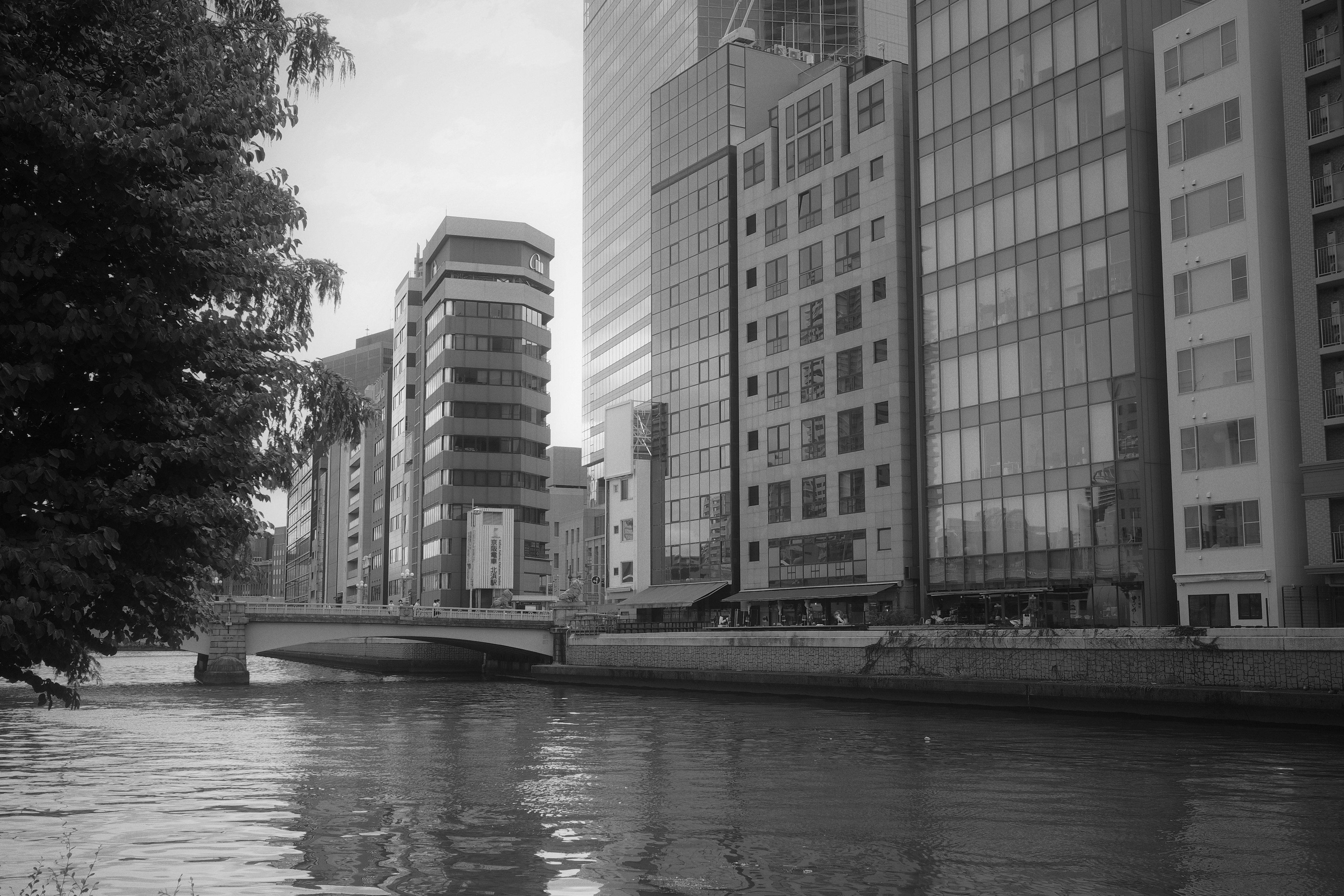 Black and white view of a river with skyscrapers and a bridge