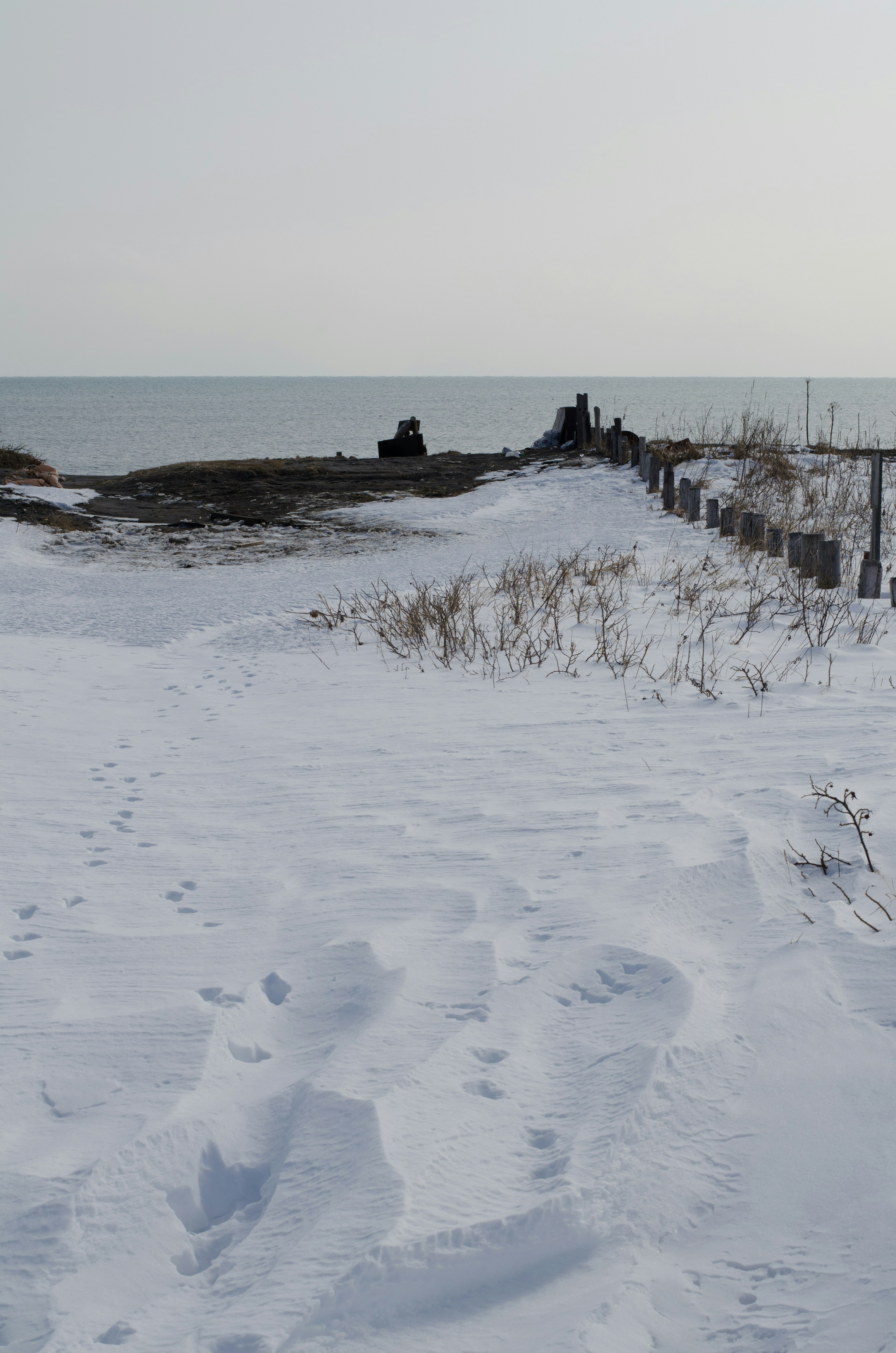 Snow-covered shoreline with visible figures in the distance