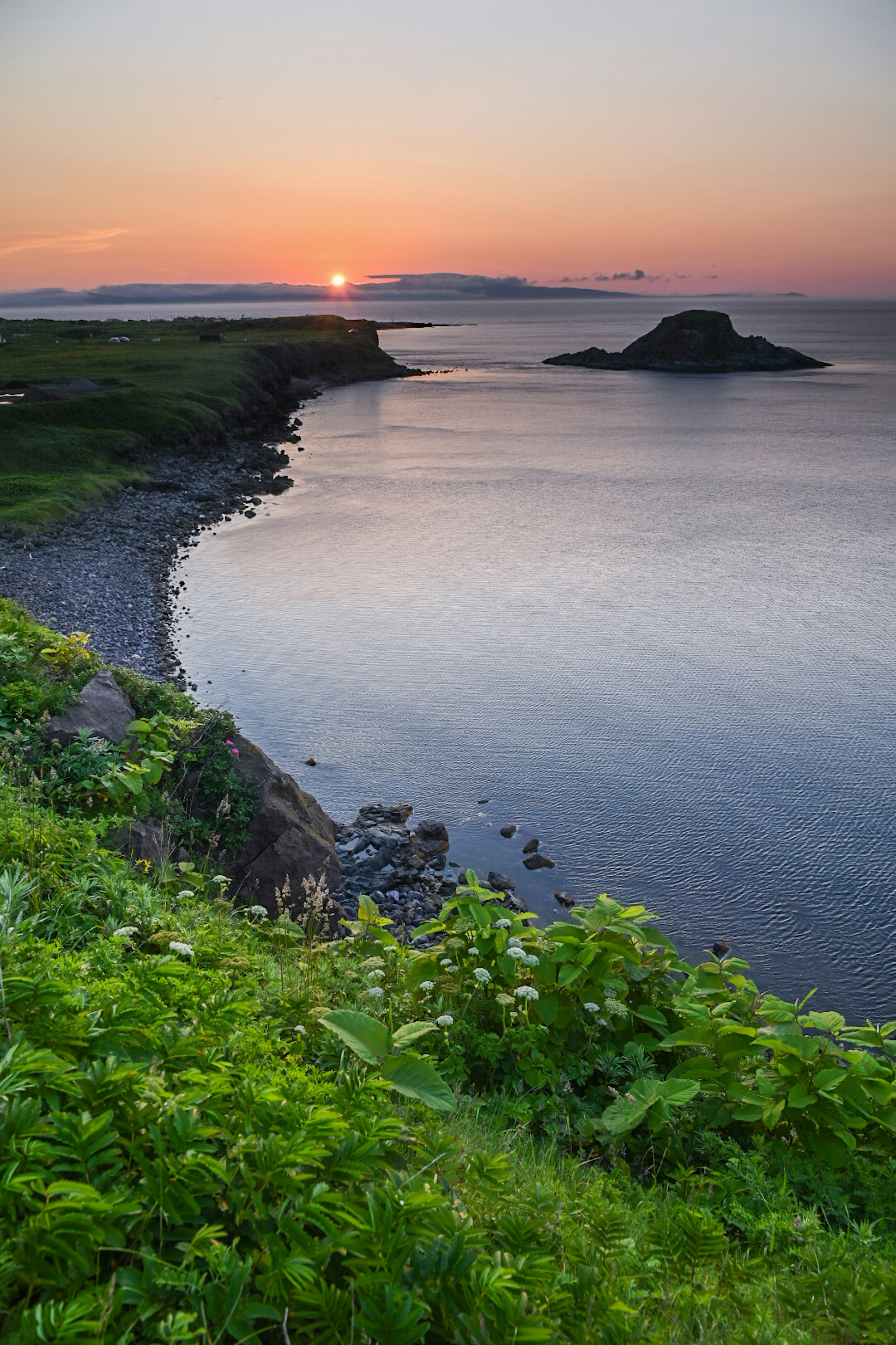 夕日が沈む海岸の風景 緑の草地と静かな海が広がる