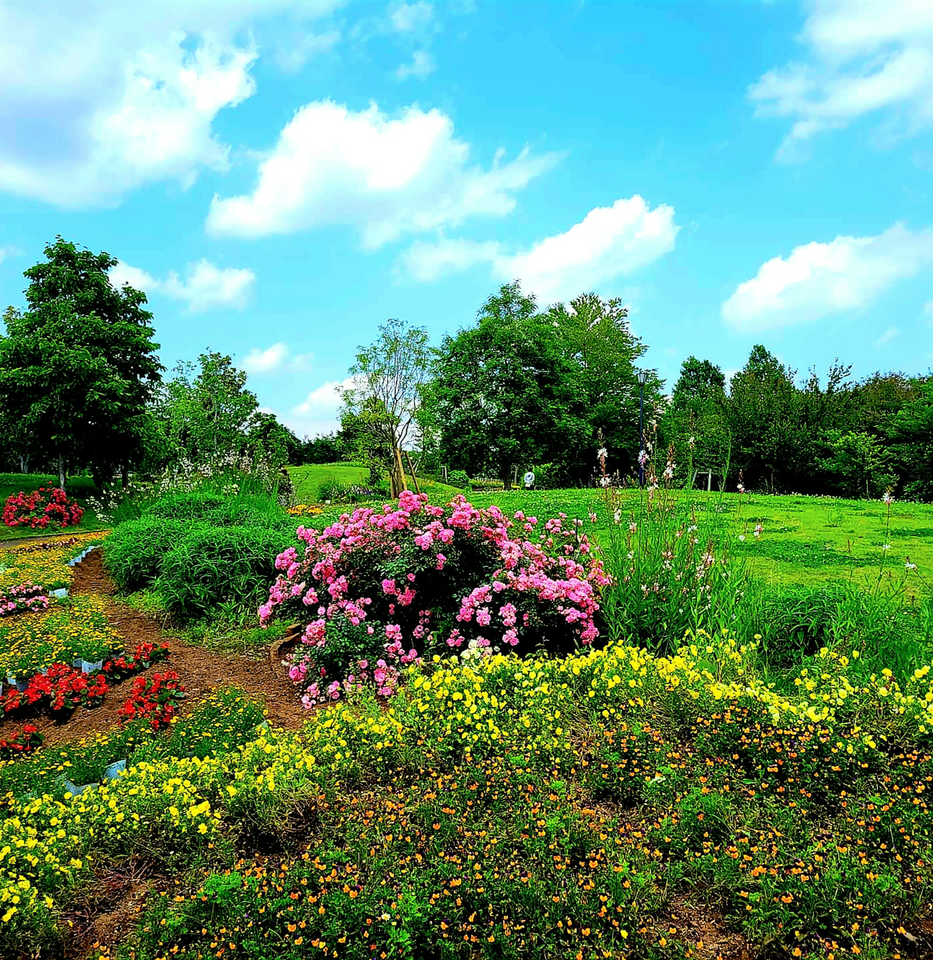 Lebendige Gartenlandschaft mit bunten Blumen und üppigem Grün