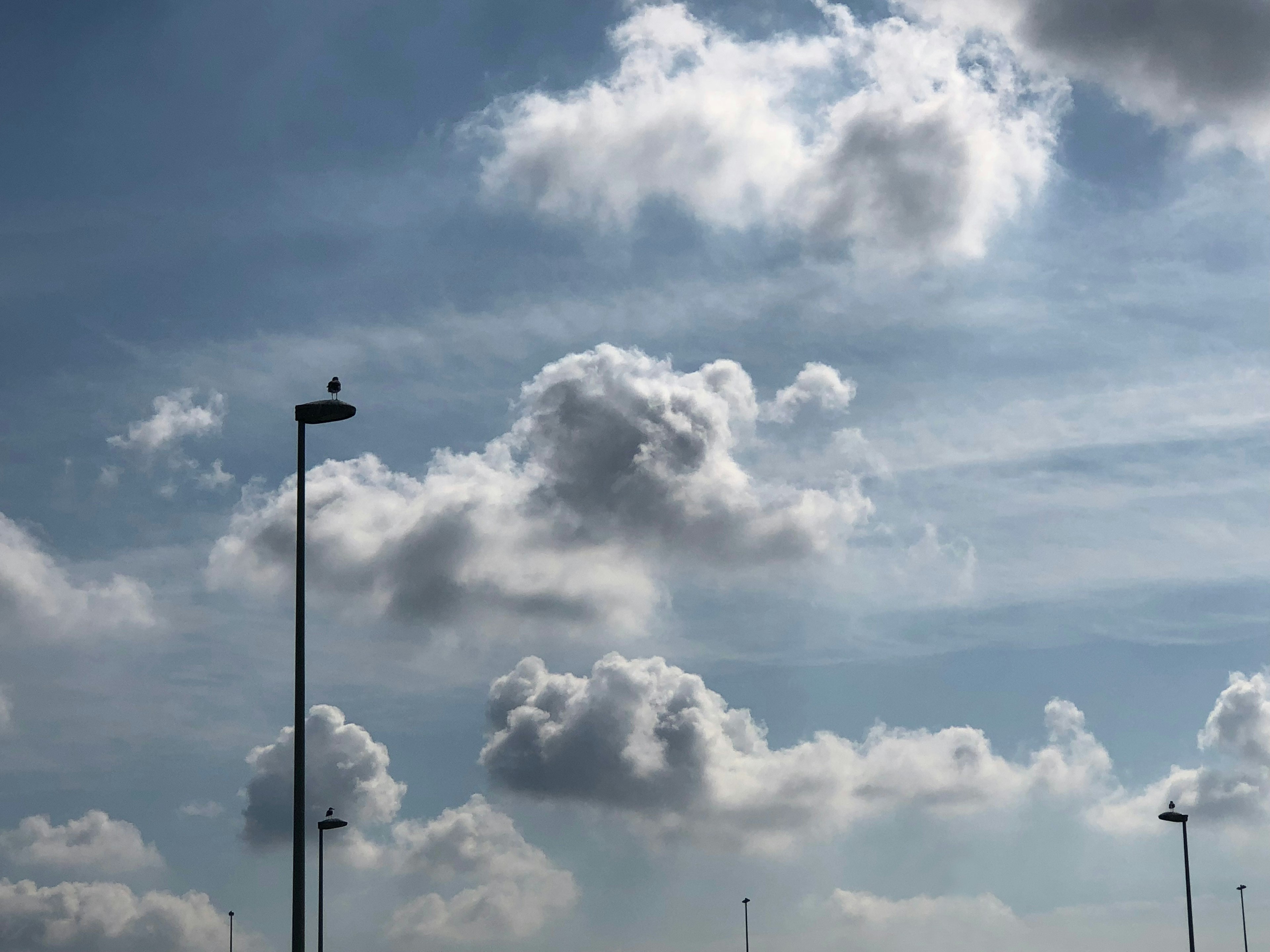 青空と白い雲と街灯が見える風景