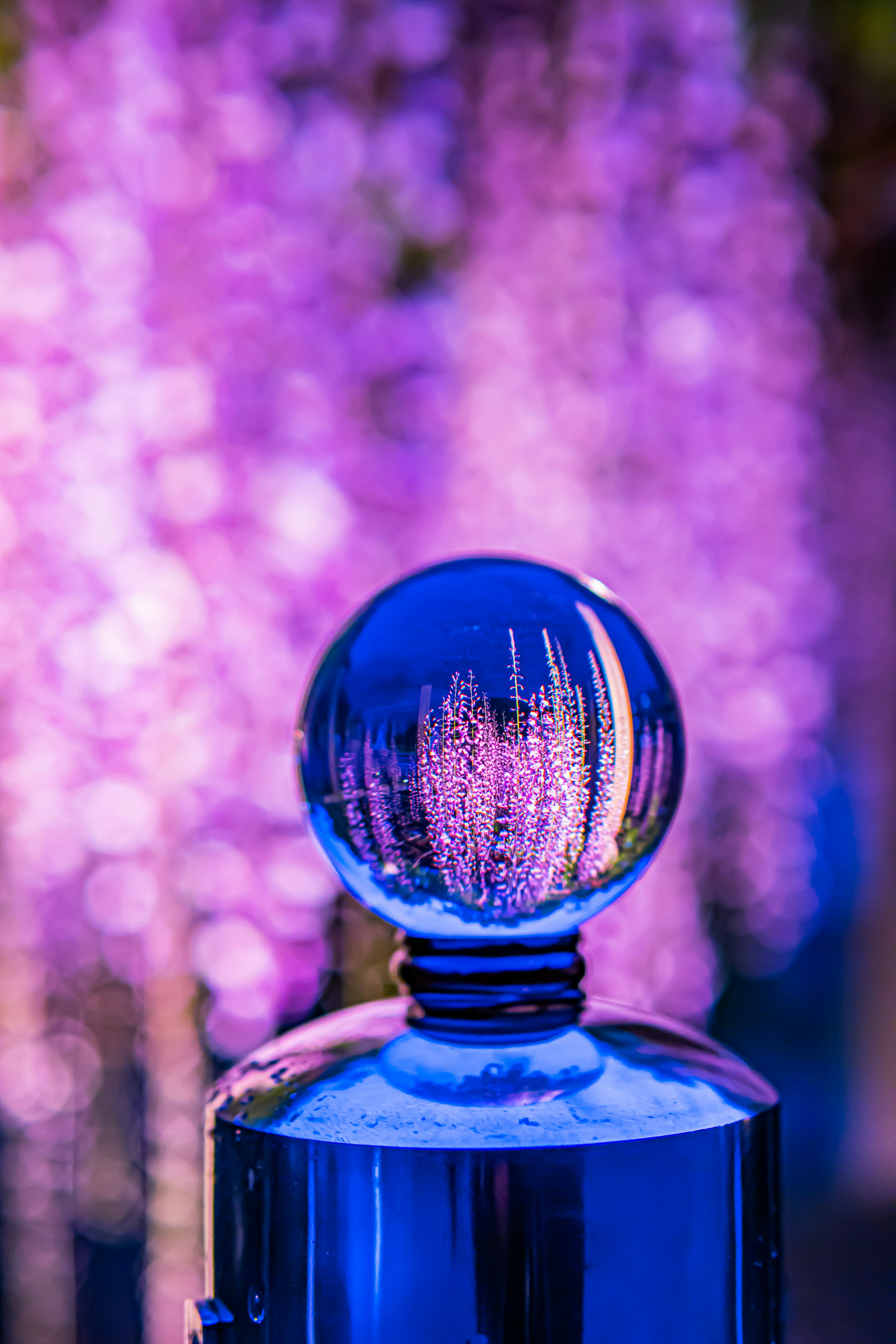 Una esfera de vidrio azul reflejando un fondo floral púrpura