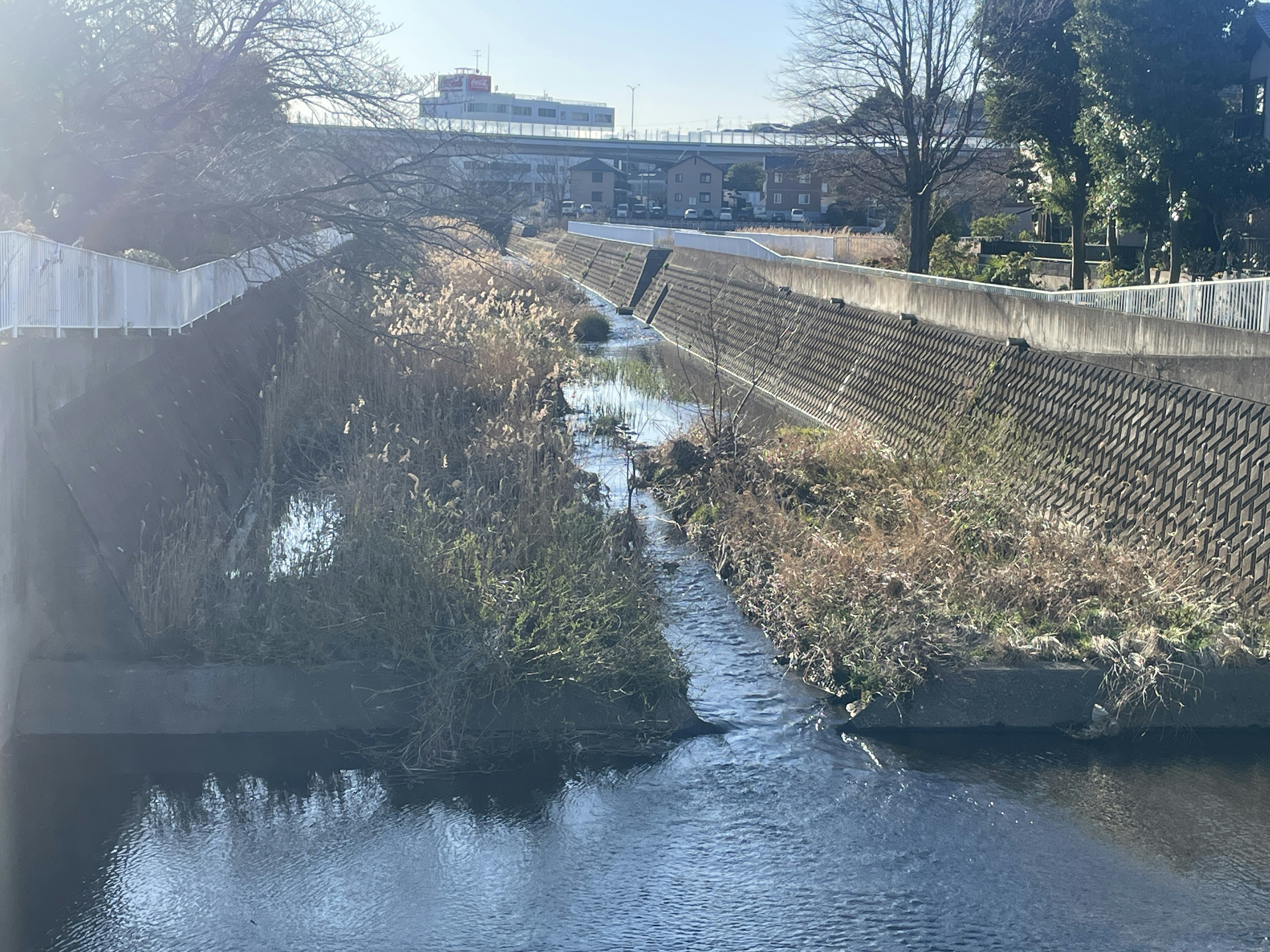 Serene stream with lush grass along the banks