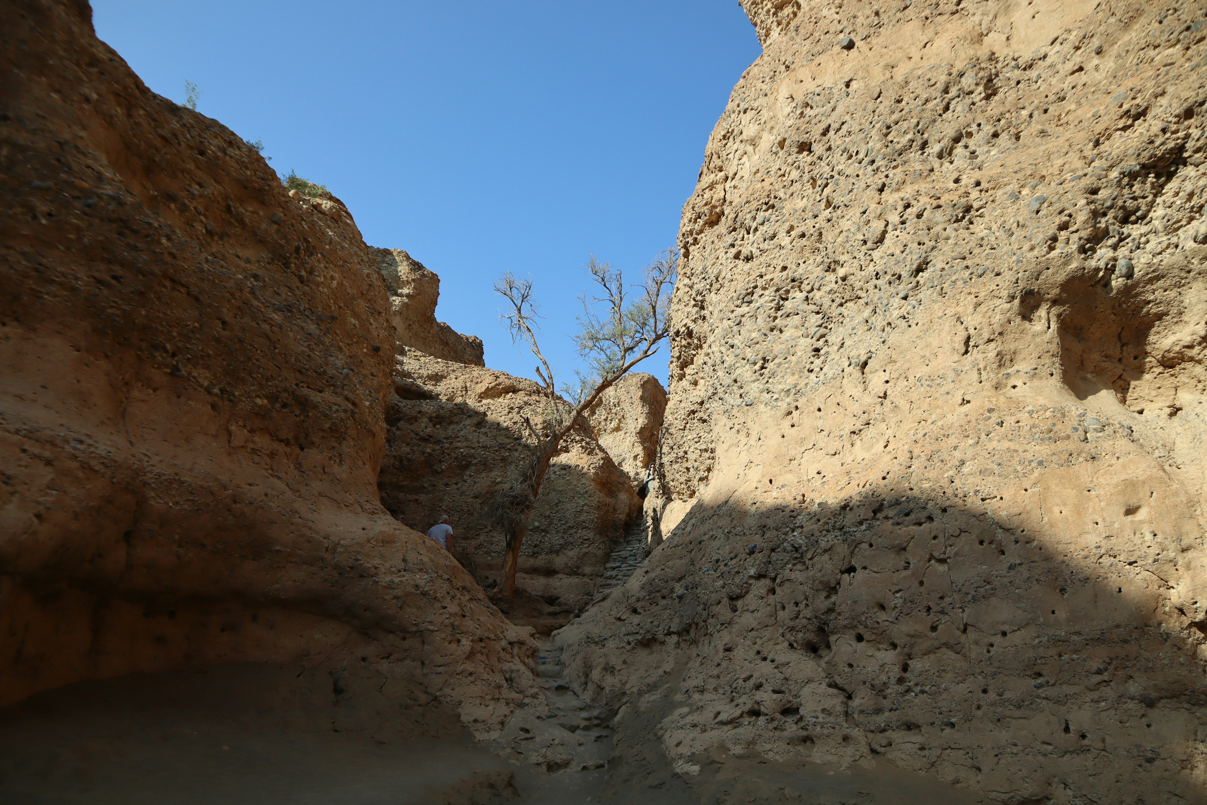 Paesaggio di canyon secco con pareti rocciose contro un cielo blu