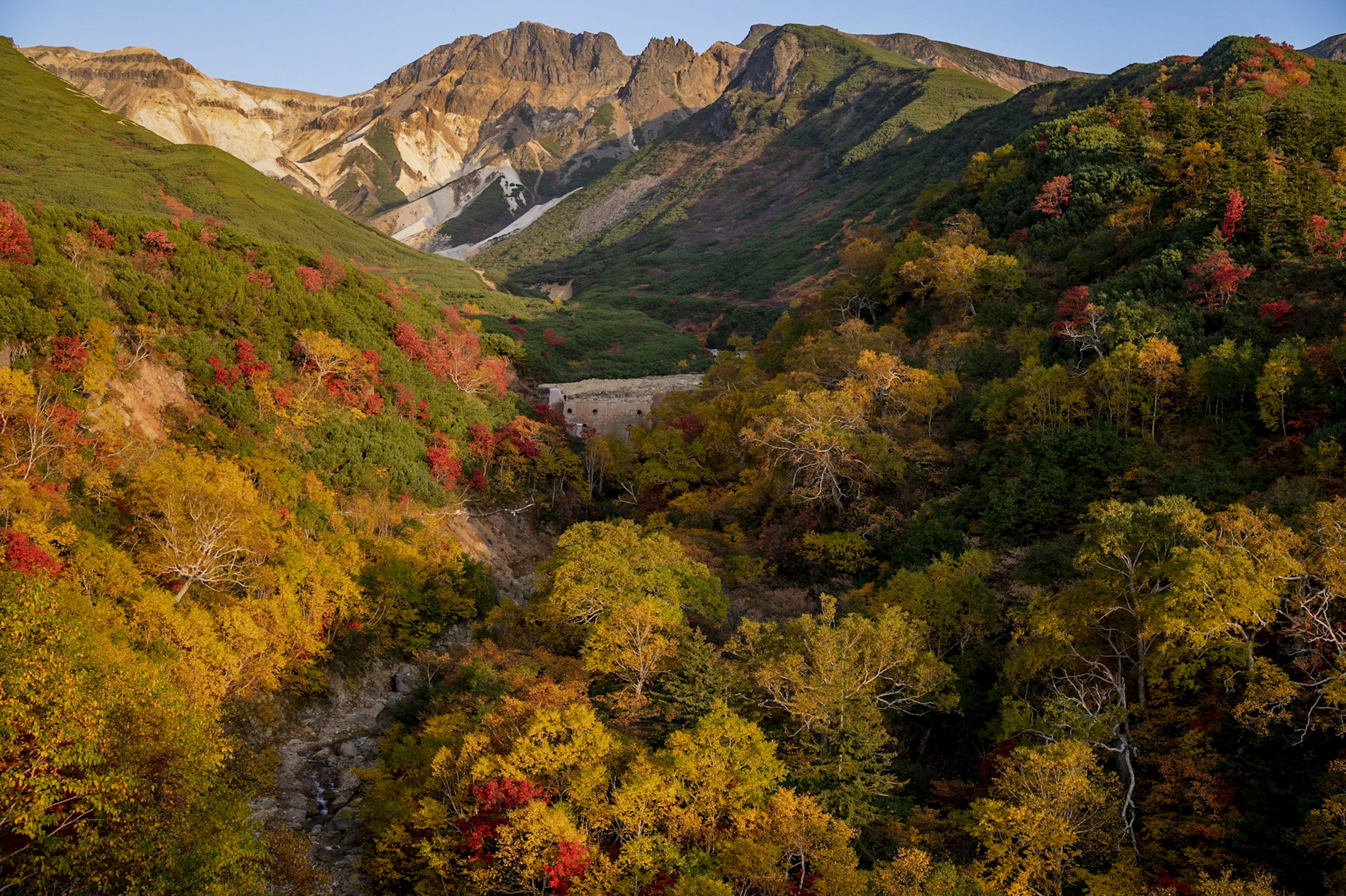 秋の色彩に包まれた山の谷間の風景