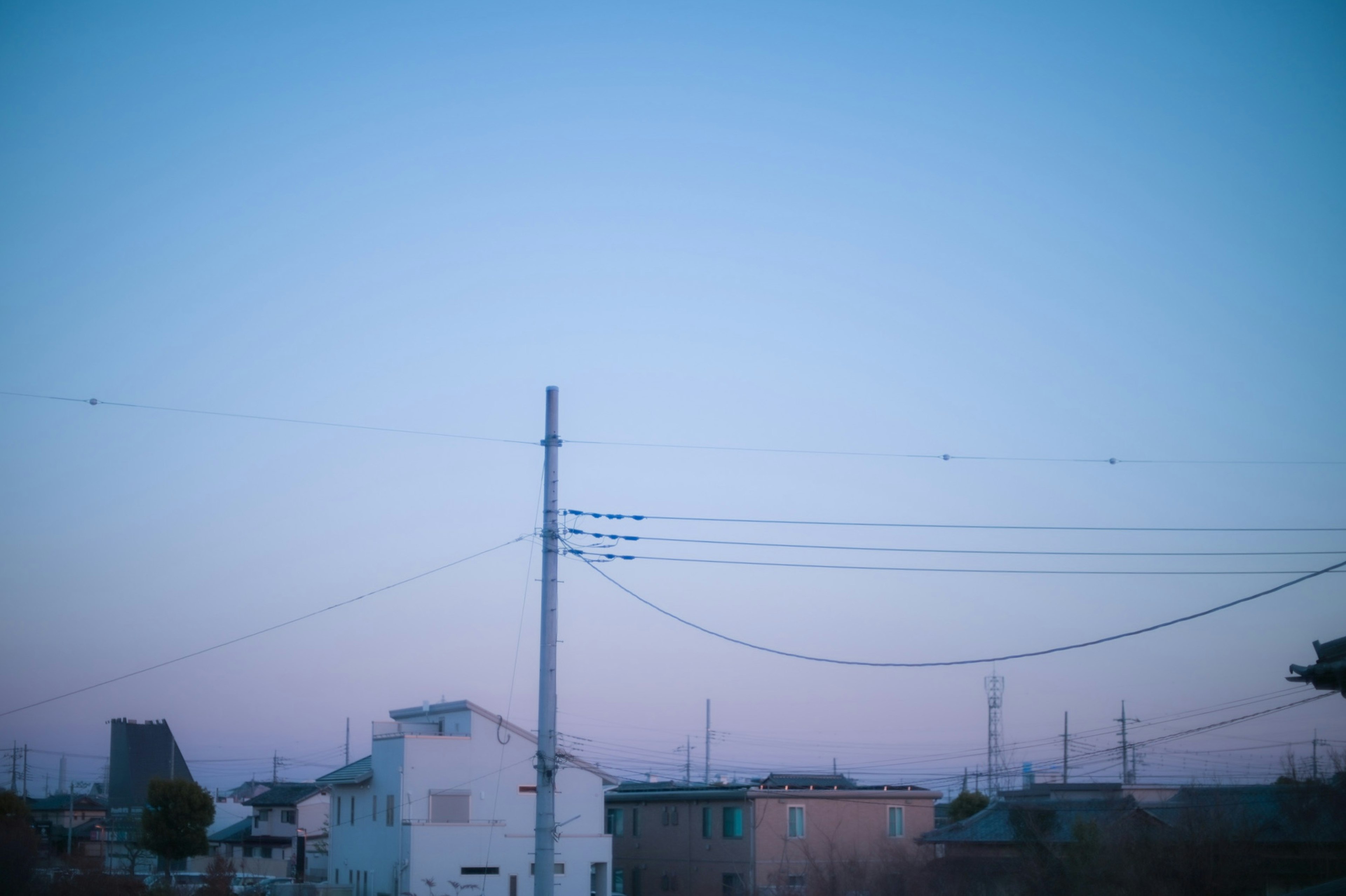 淡い青と紫の空の下に静かな街並みと電柱